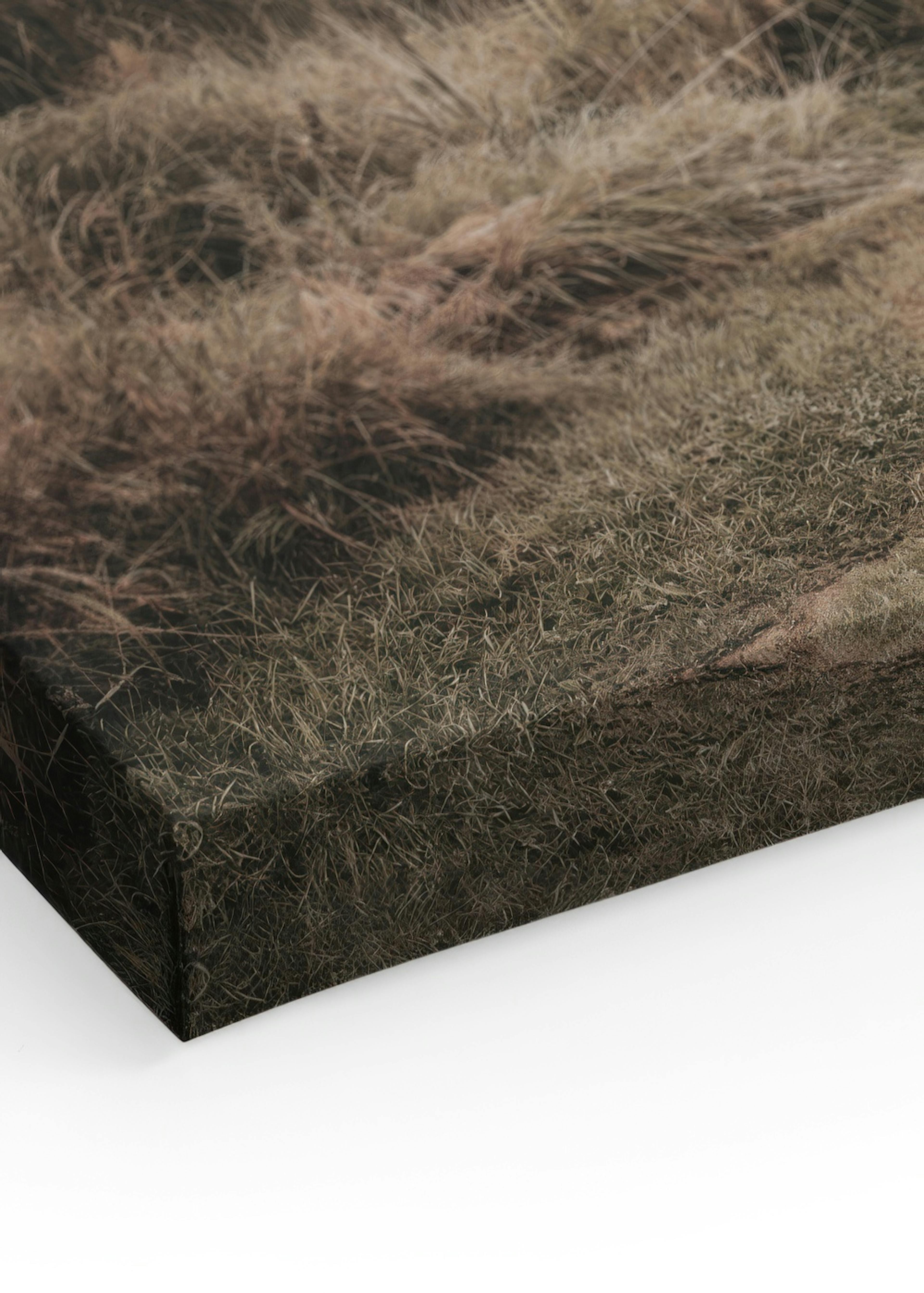 Product image: 3