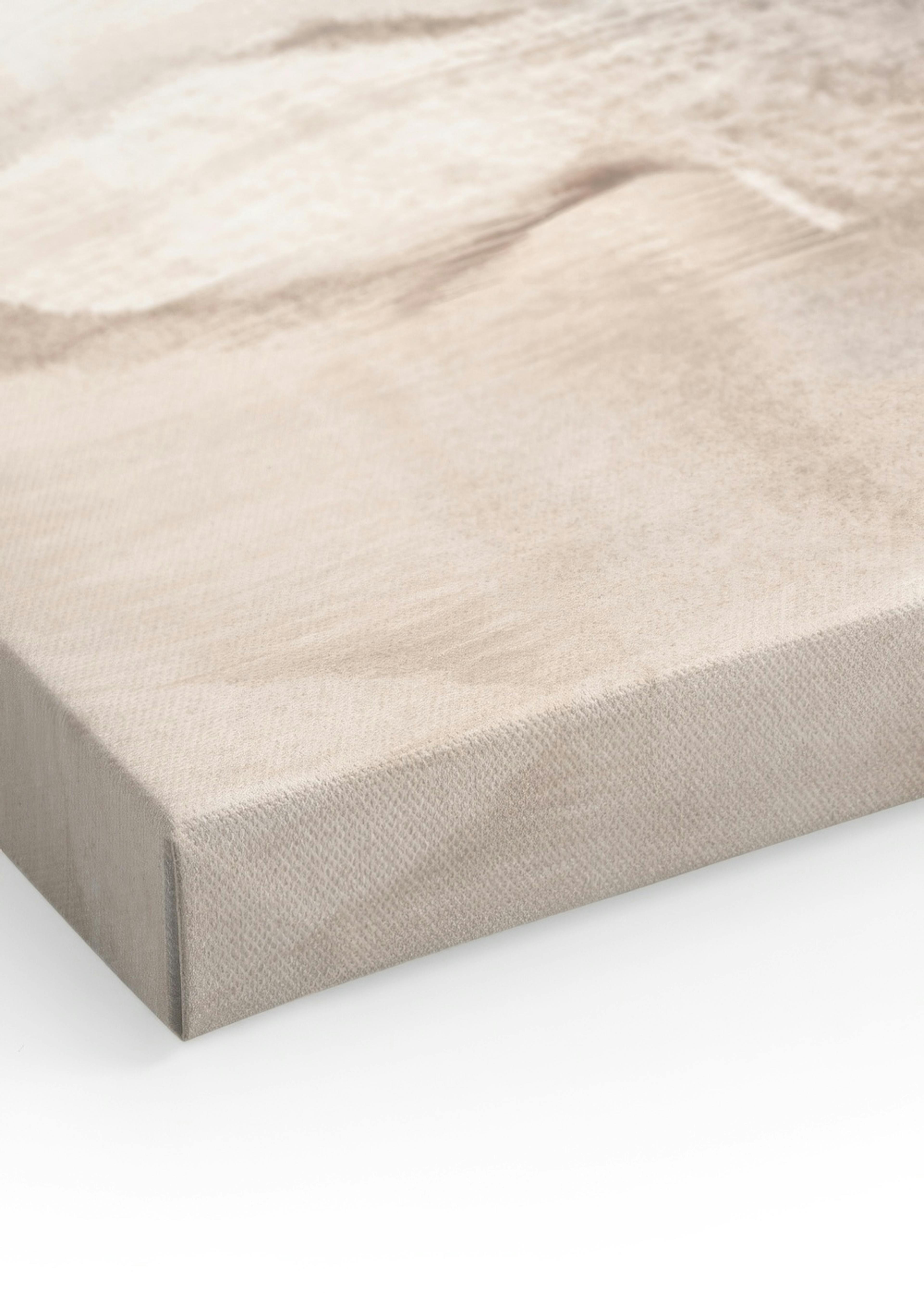 Soft Beige Painting No1 Canvas print