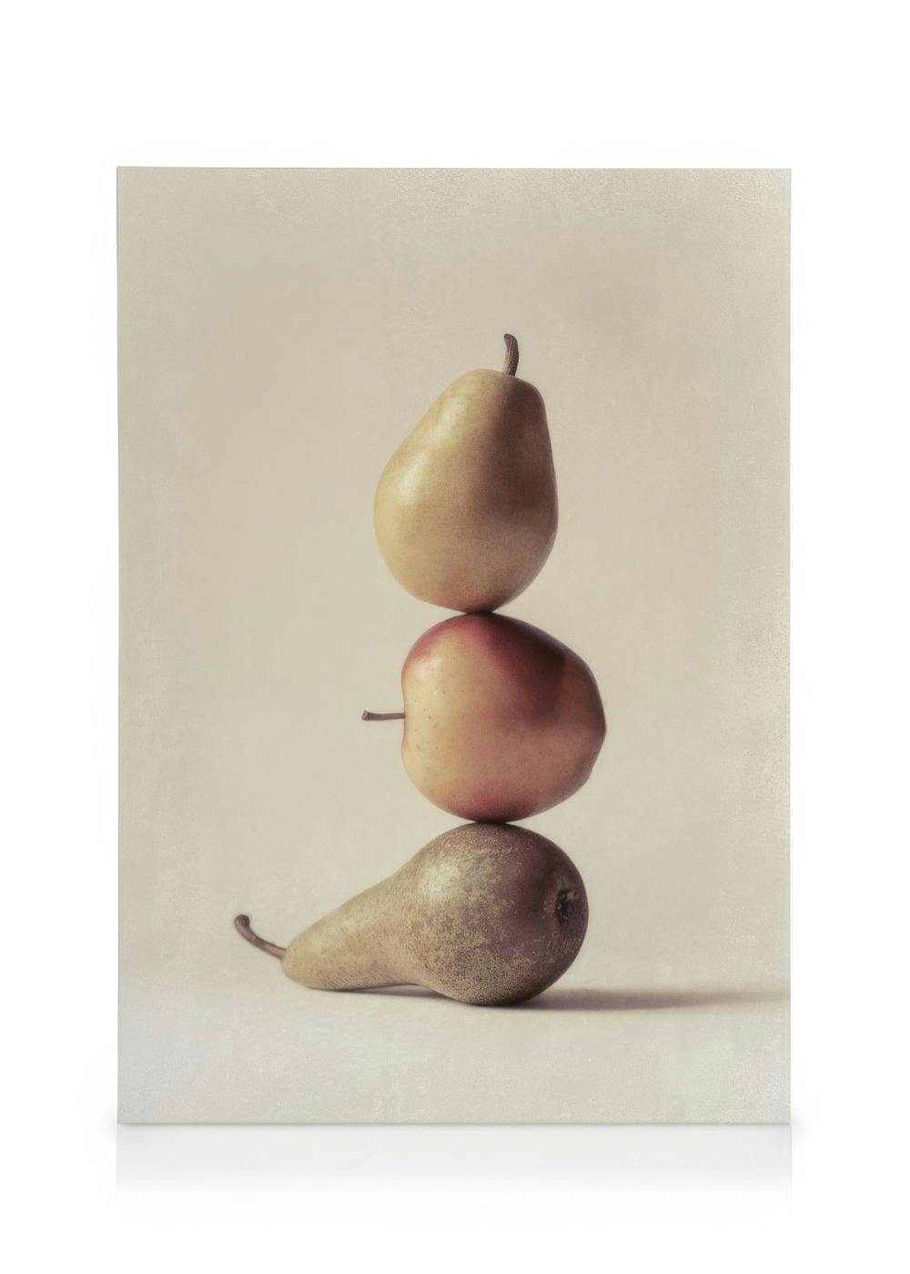 Still Life Pear No1 Obraz na plátne (30x40 cm)