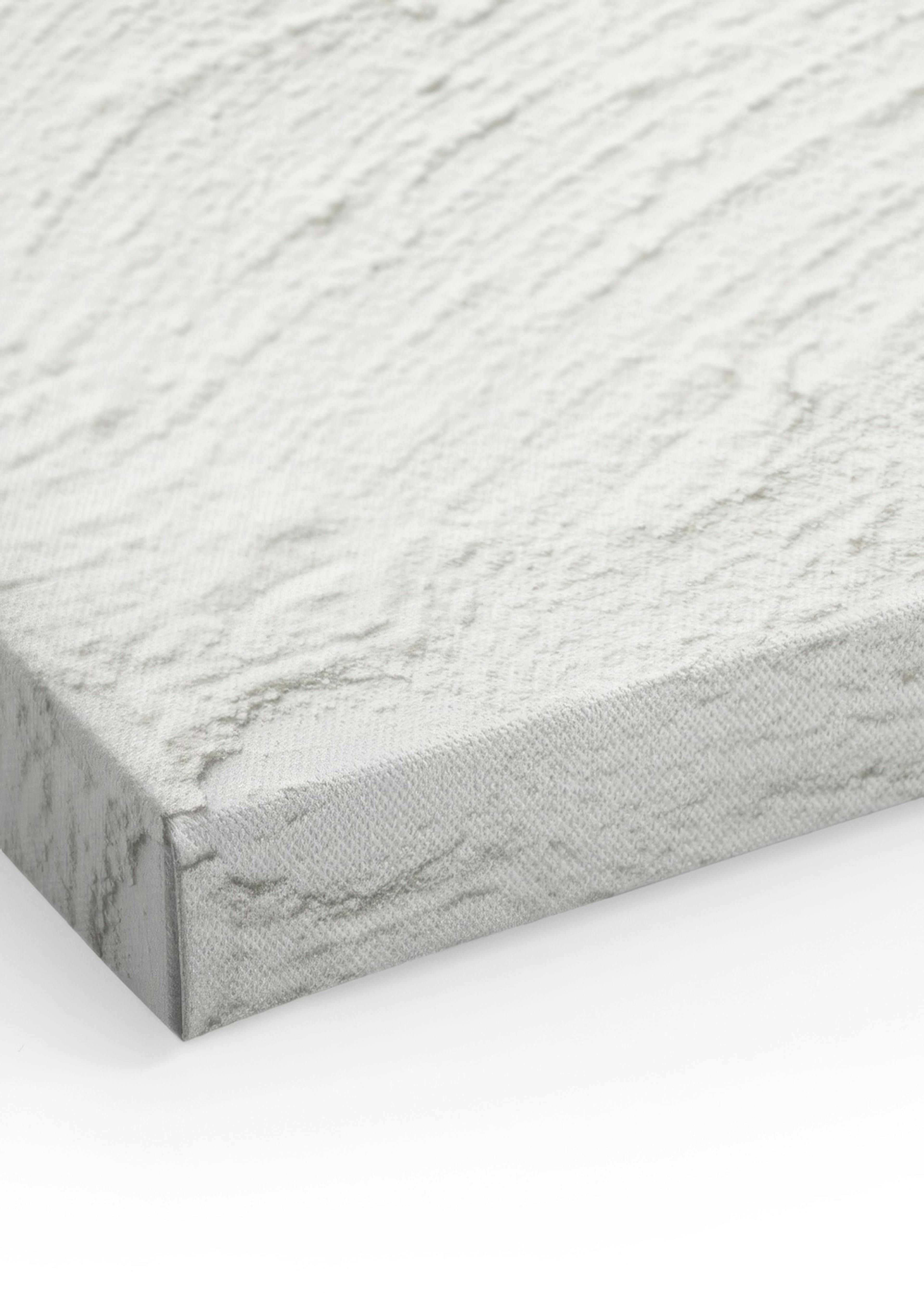 Plaster Texture Toile