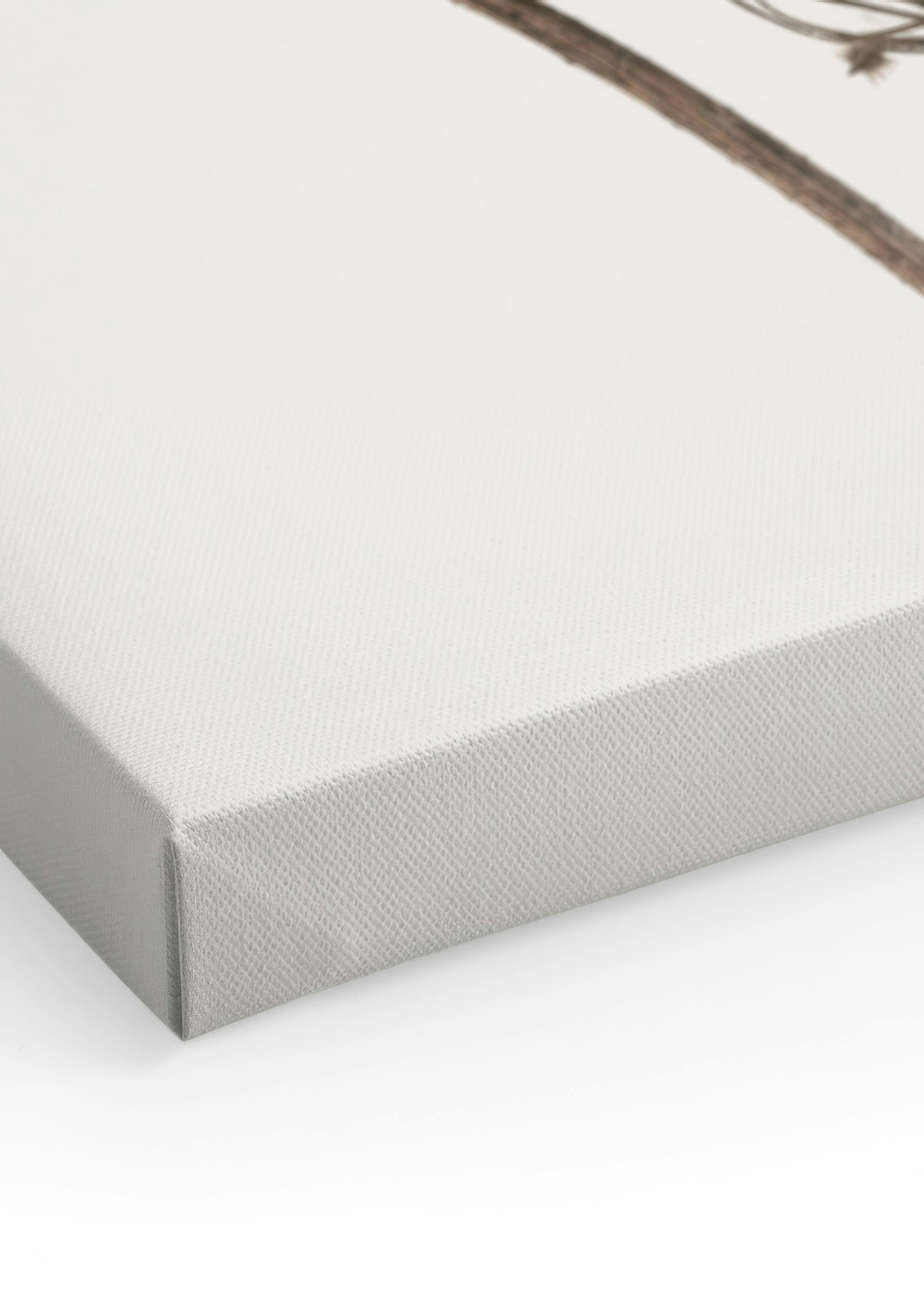 Product image: 3