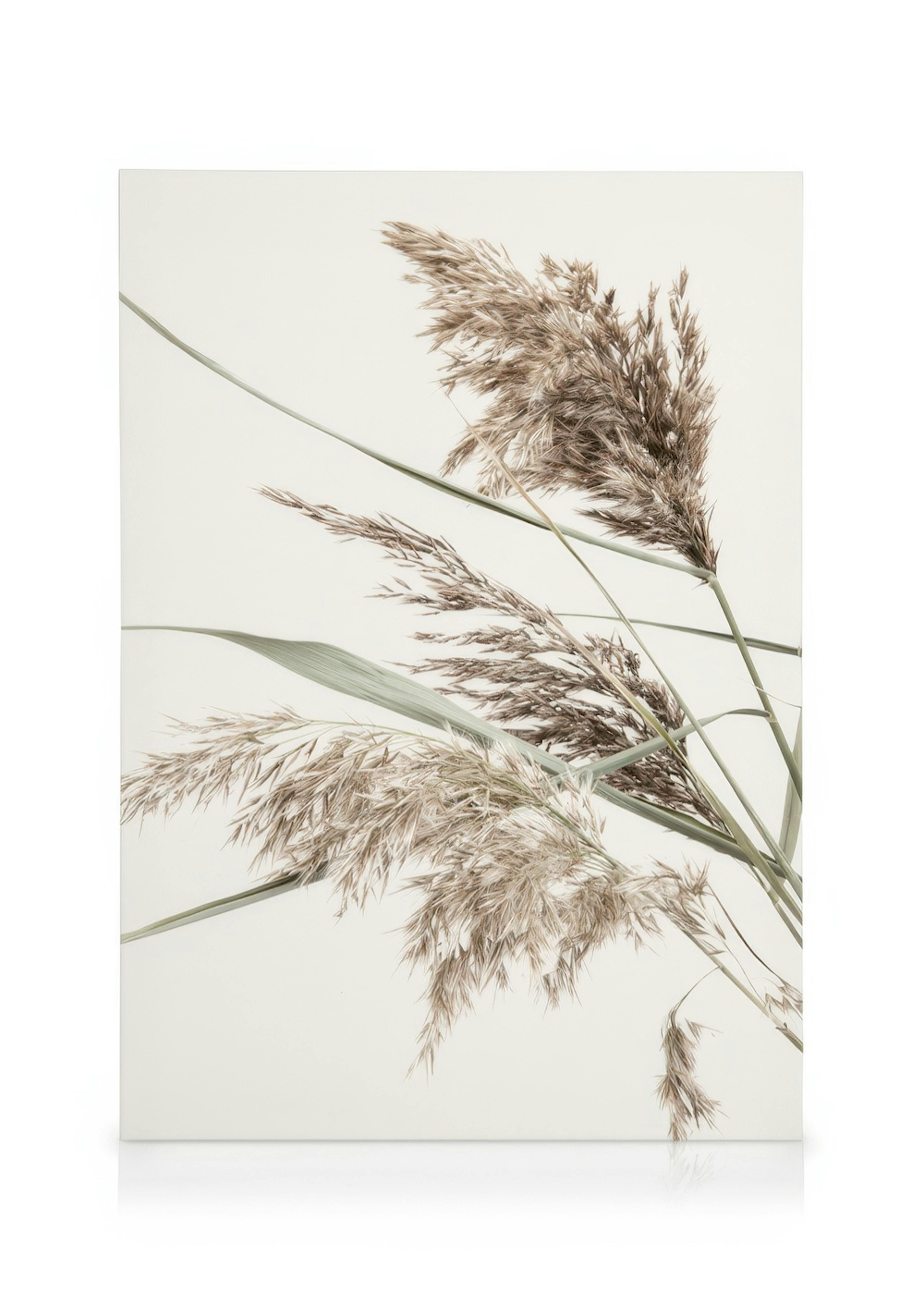 Boho Grass obraz na plátně 0