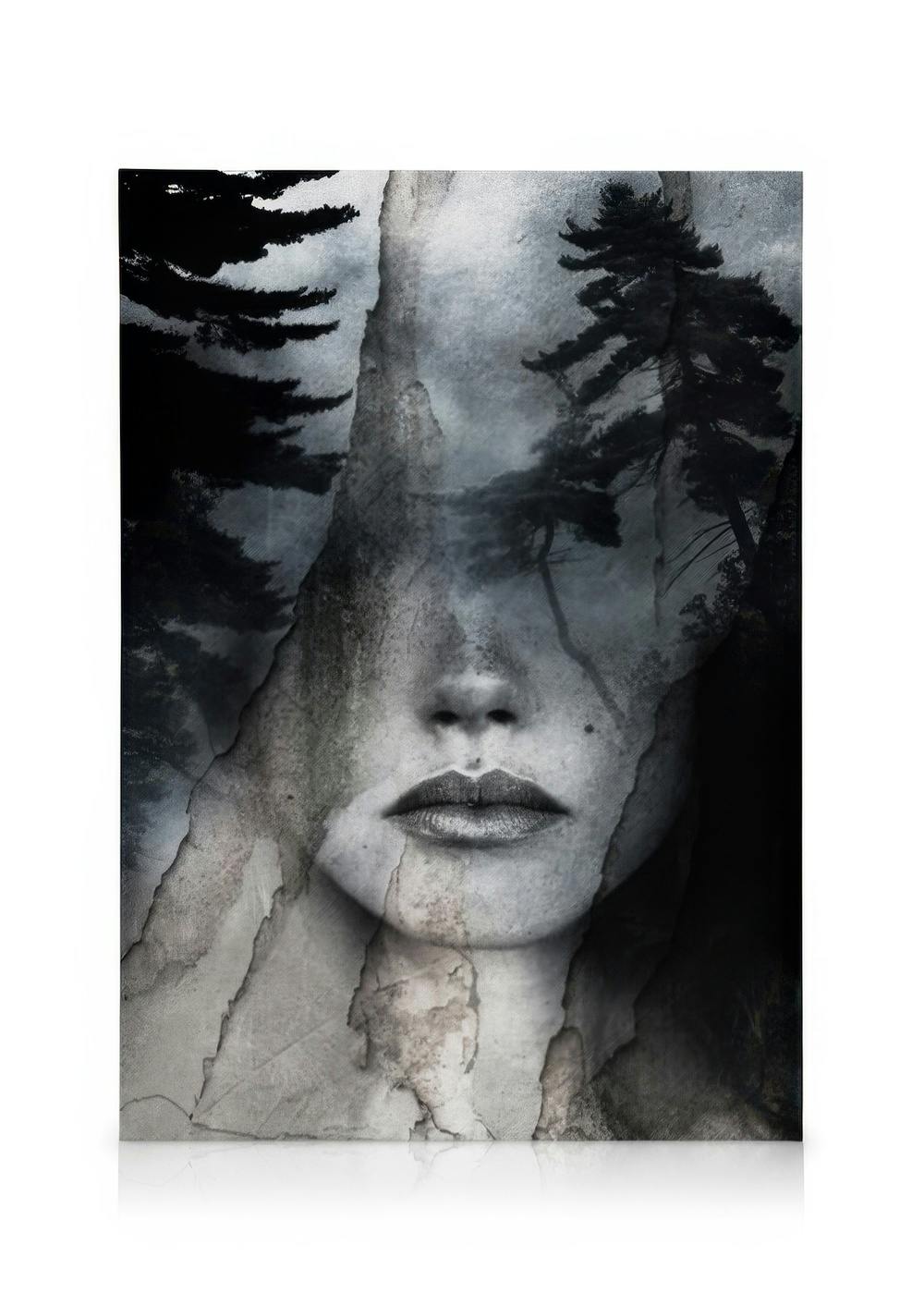 Toile abstraite noir et gris dun visage de femme avec texture craquelée et pins, style silence.