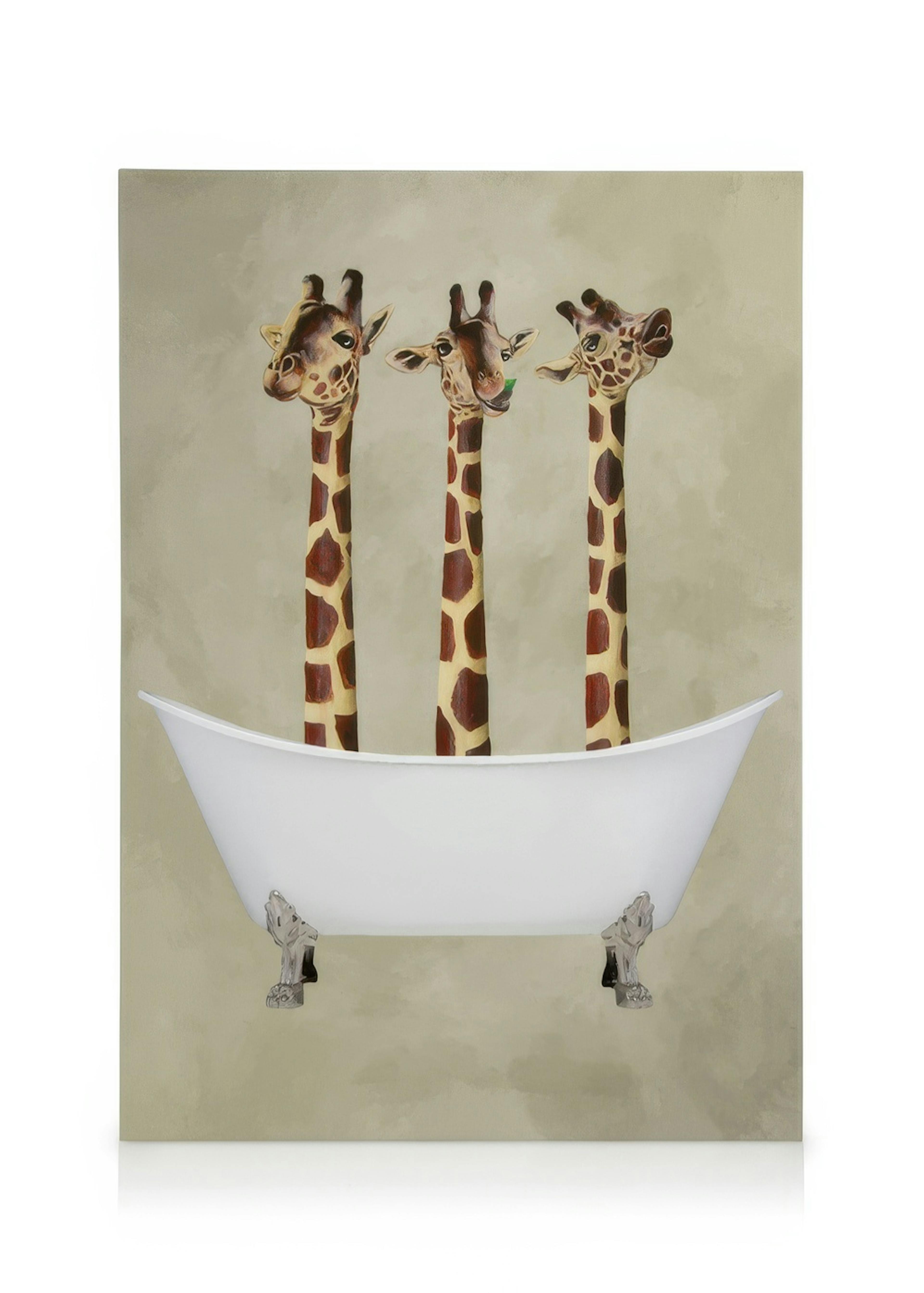Coco De Paris - Giraffes in Bathtub obraz na plátně 0