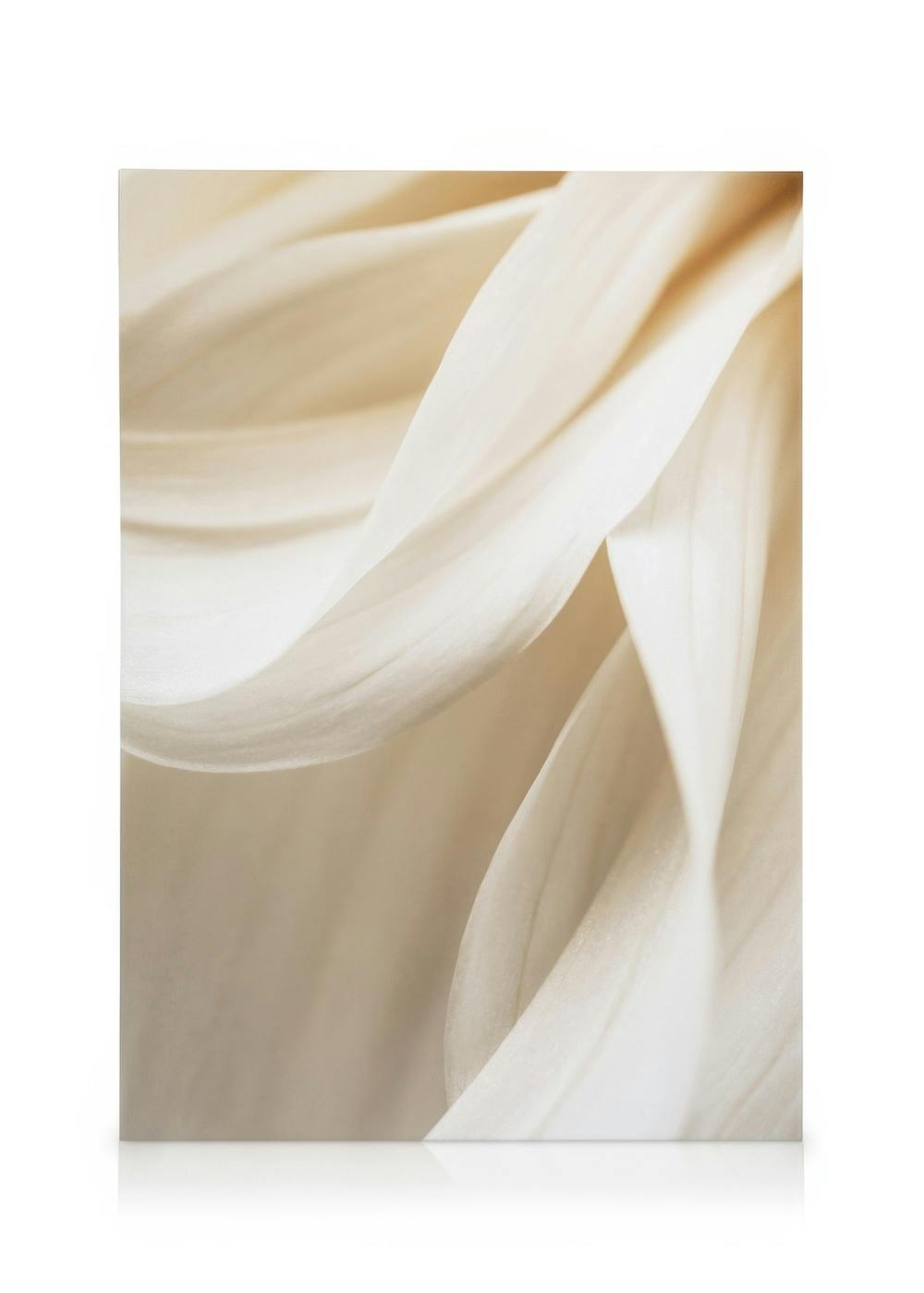 Telas decorativas Warm Flower No2 Tela (30x40 cm - Moldura Preta)
