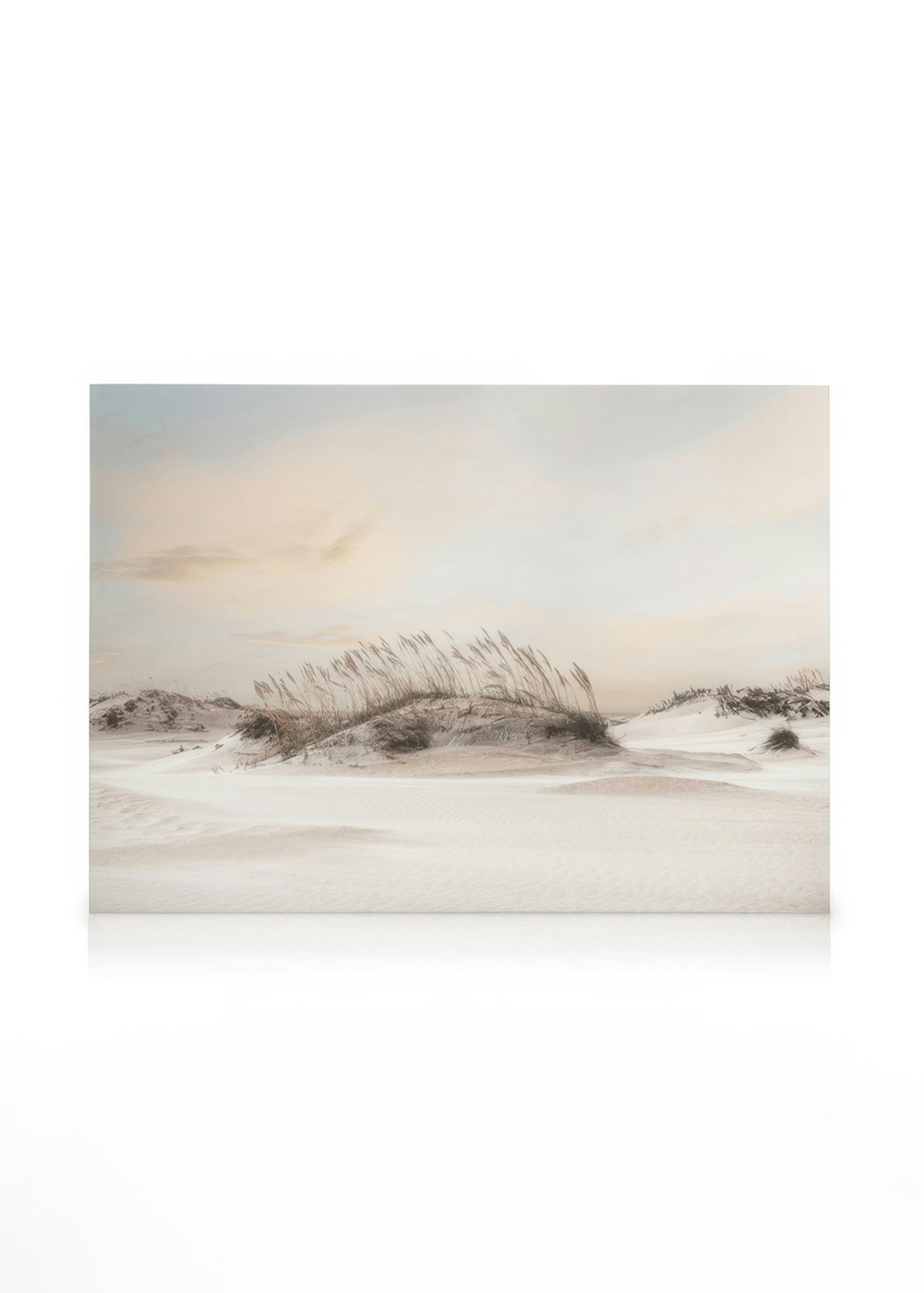Dune Landscape Lienzo 0