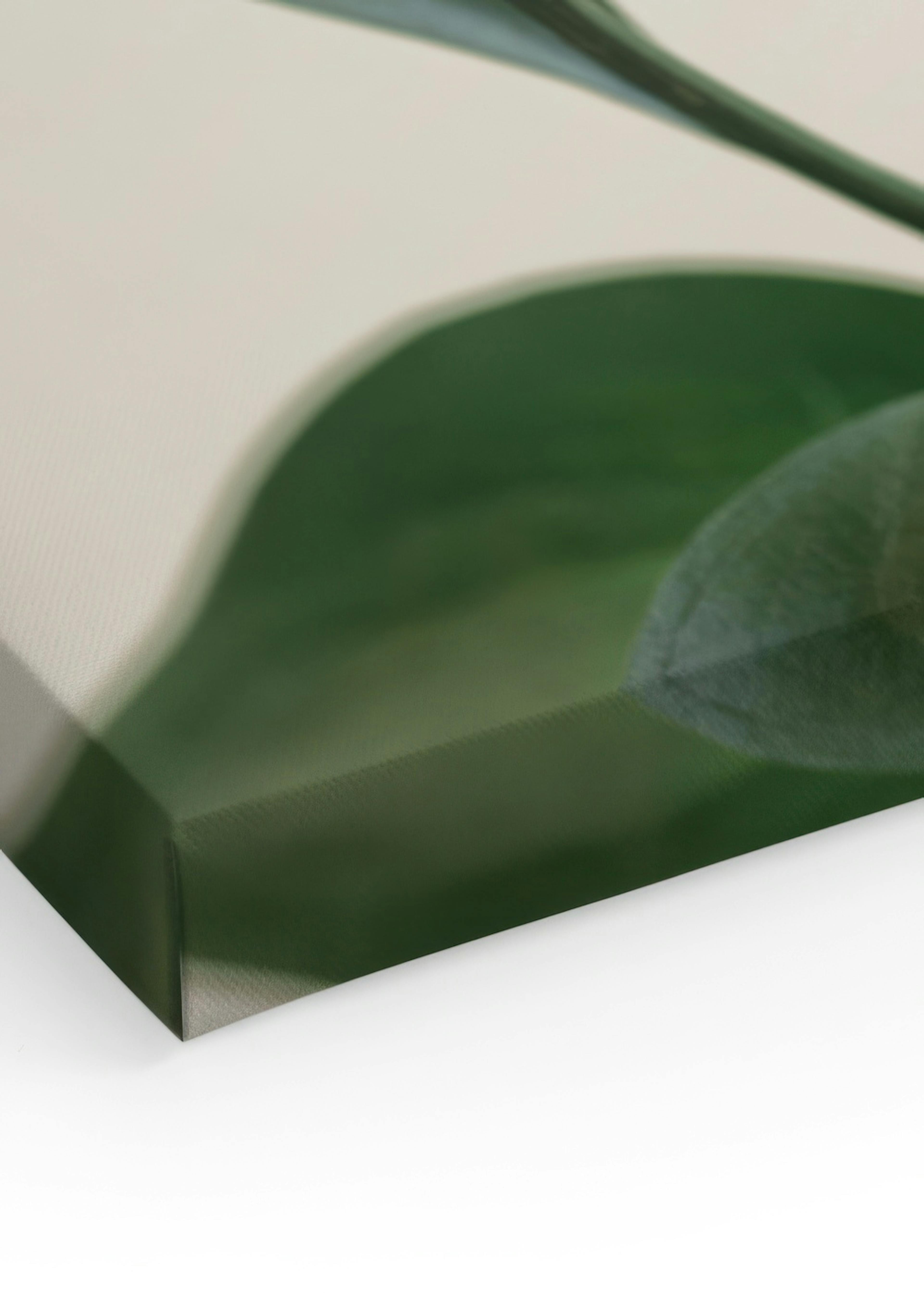 Product image: 3