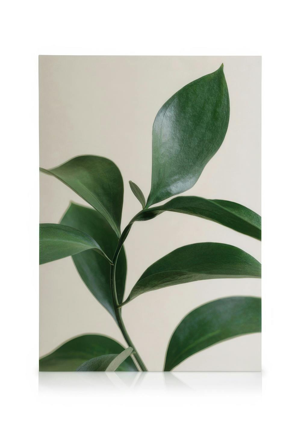 Canvas Prints Green Botanical Canvas print (50x70 cm)