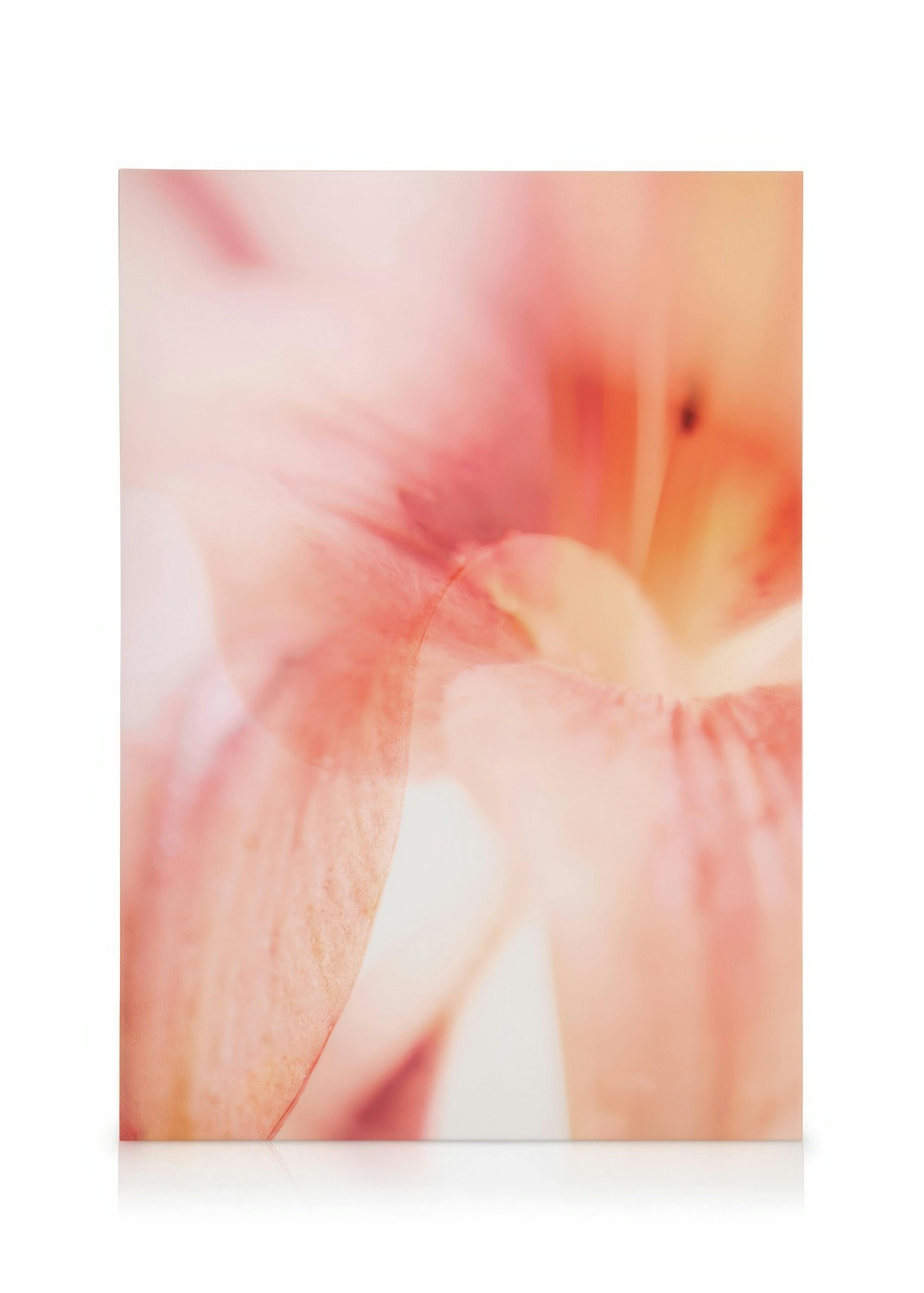 Canvastavla med ett abstrakt motiv i rosa och persikofärger, hängande i ett ljust vardagsrum över en bänk.