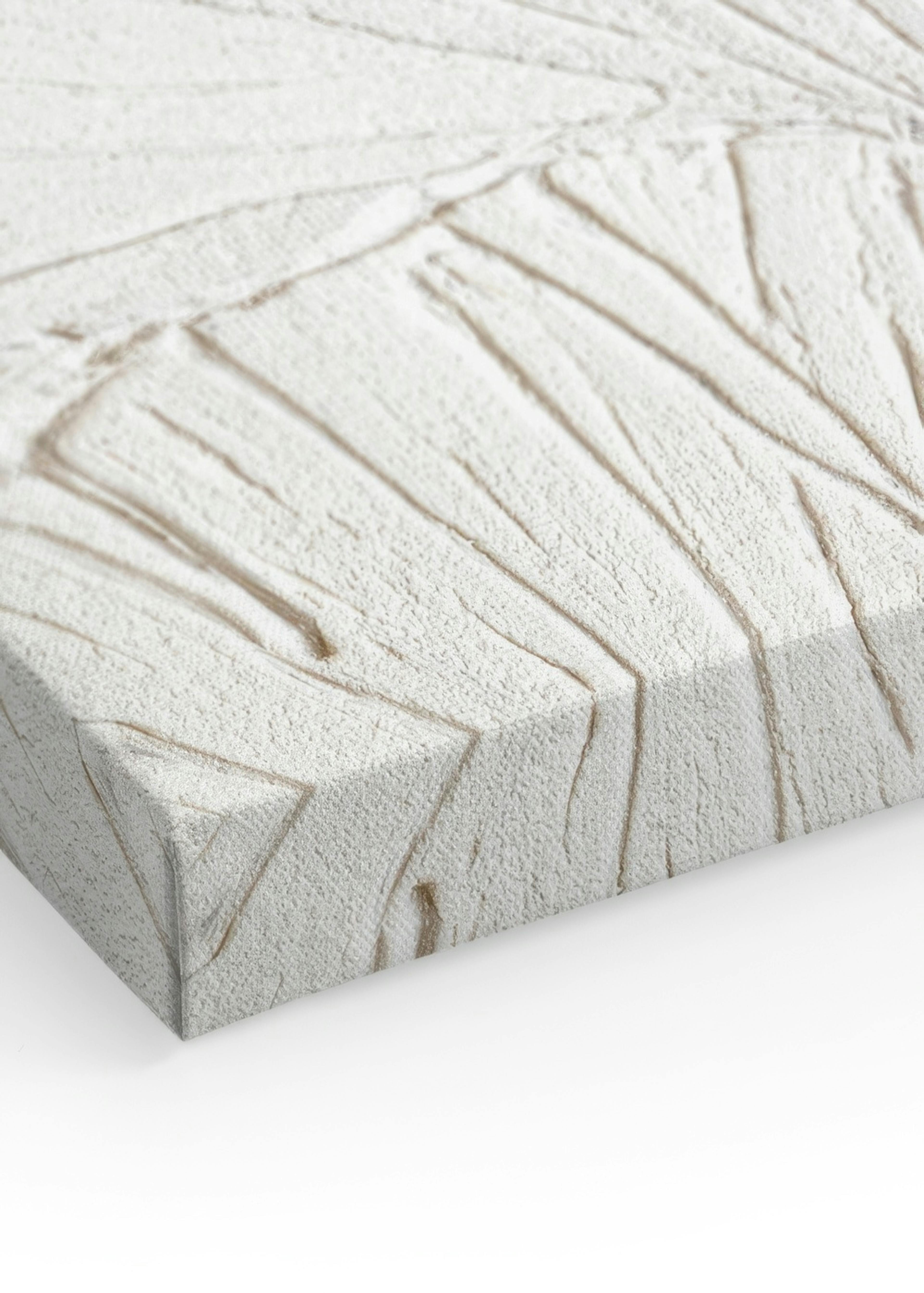 Ginkgo Texture Tableau sur toile