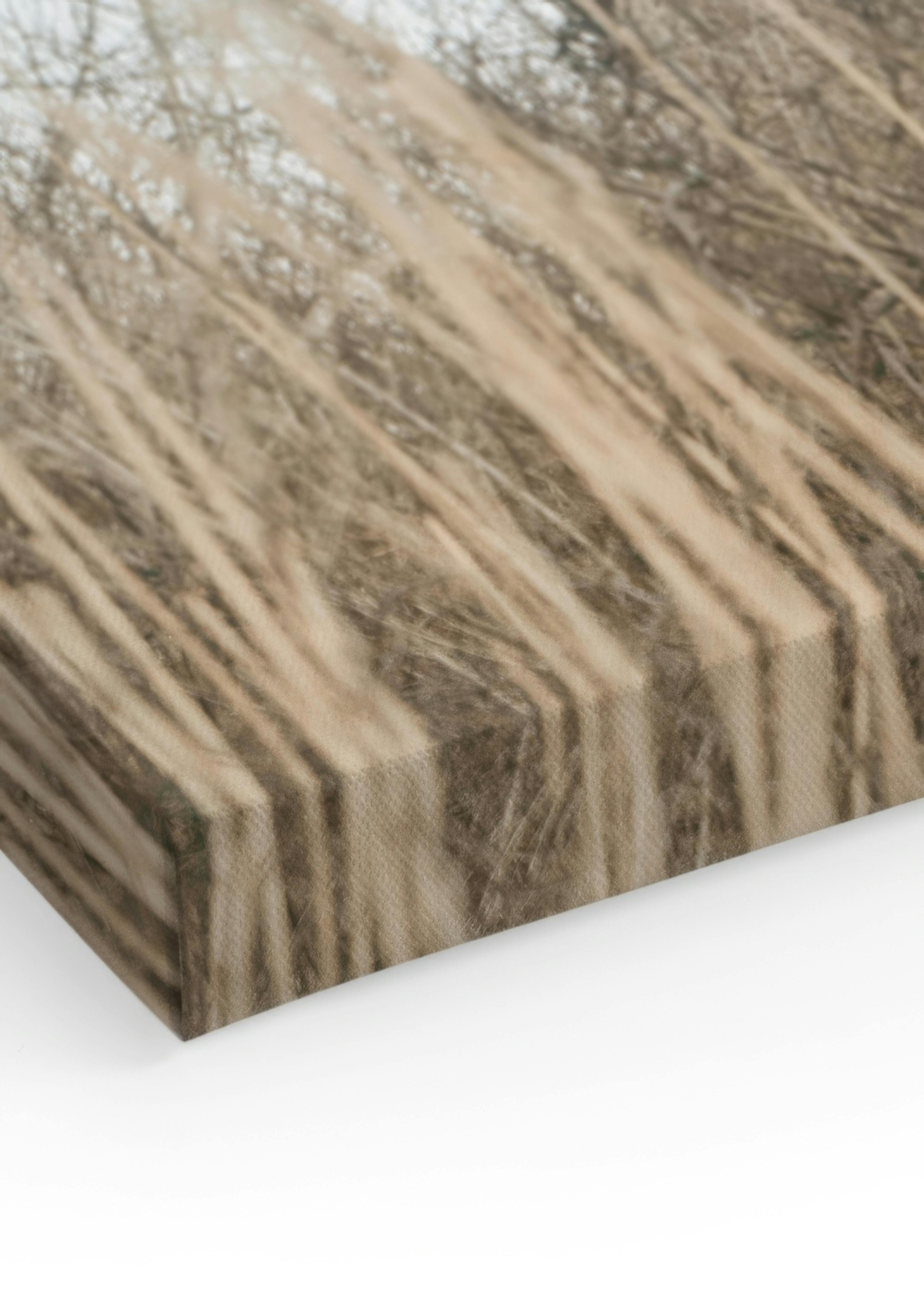 Product image: 3