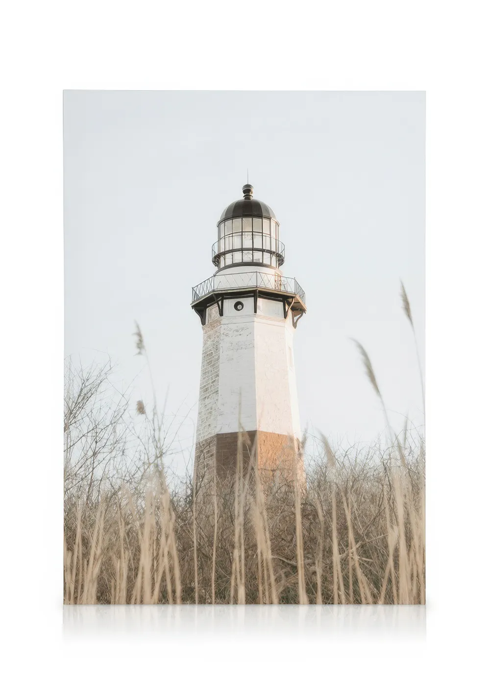 Canvas met hoge Montauk Point vuurtoren, omringd door droog gras tegen lichte hemel. Zwart, wit, bruin, beige tinten.