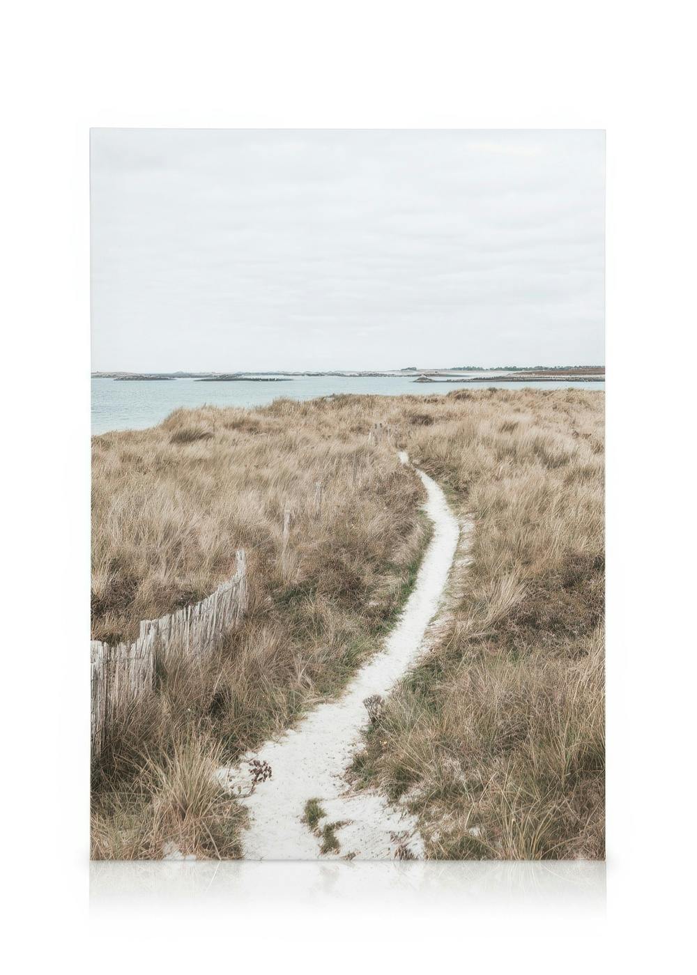 Canvas Prints Pathway to the Sea Canvas print (30x40 cm - Black Frame)