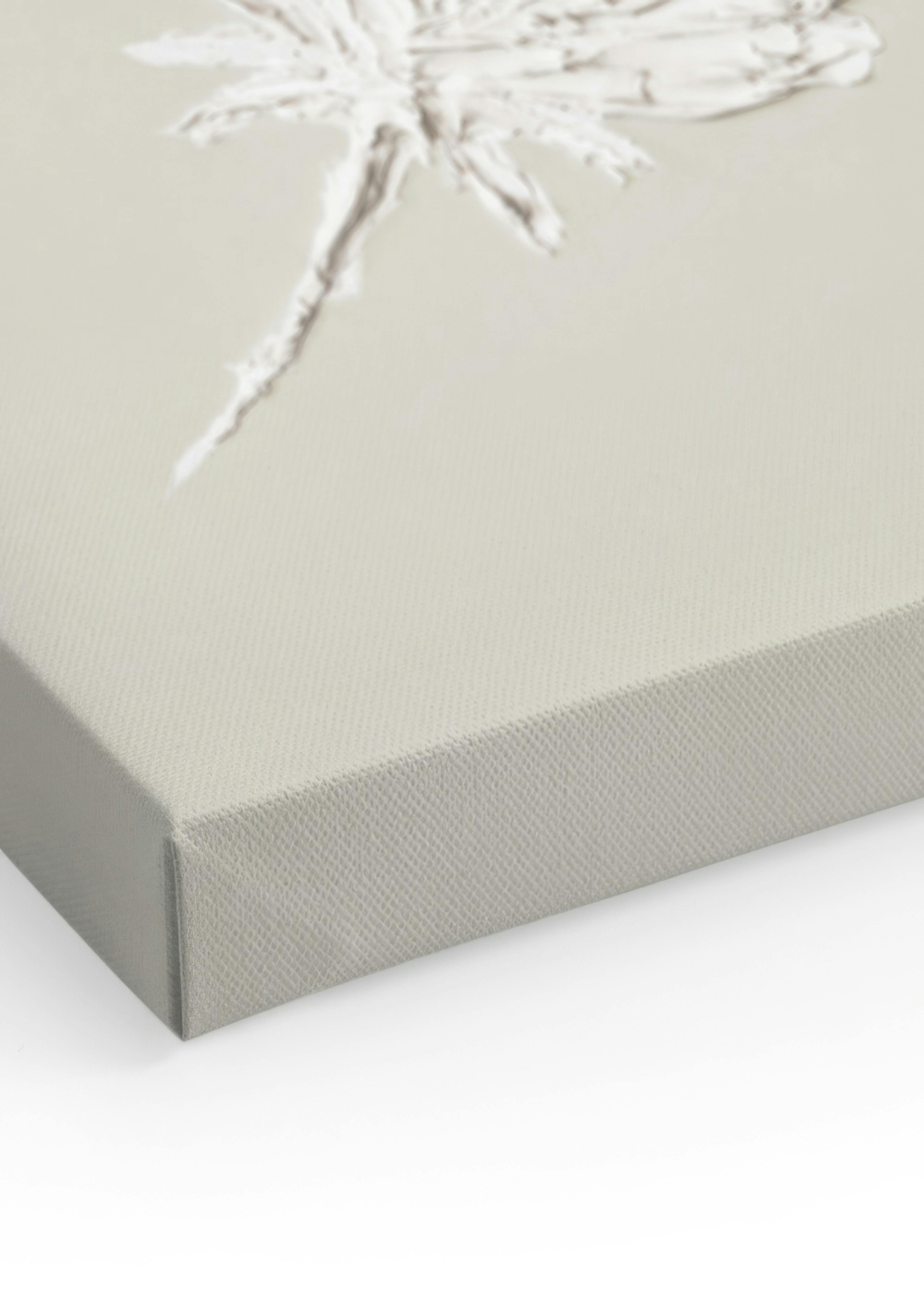 Feather Texture Canvas print