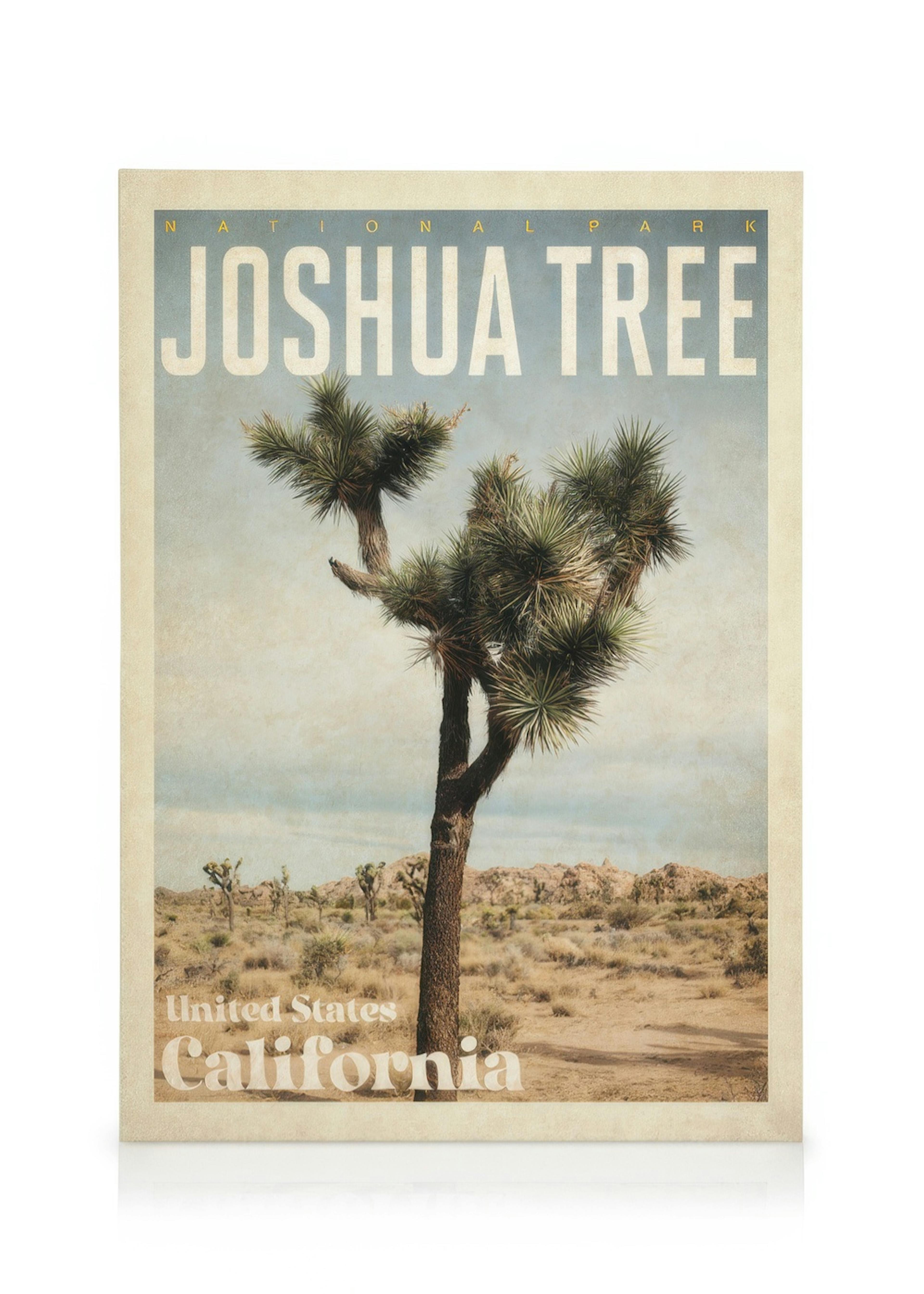Joshua Tree Leinwandbild 0