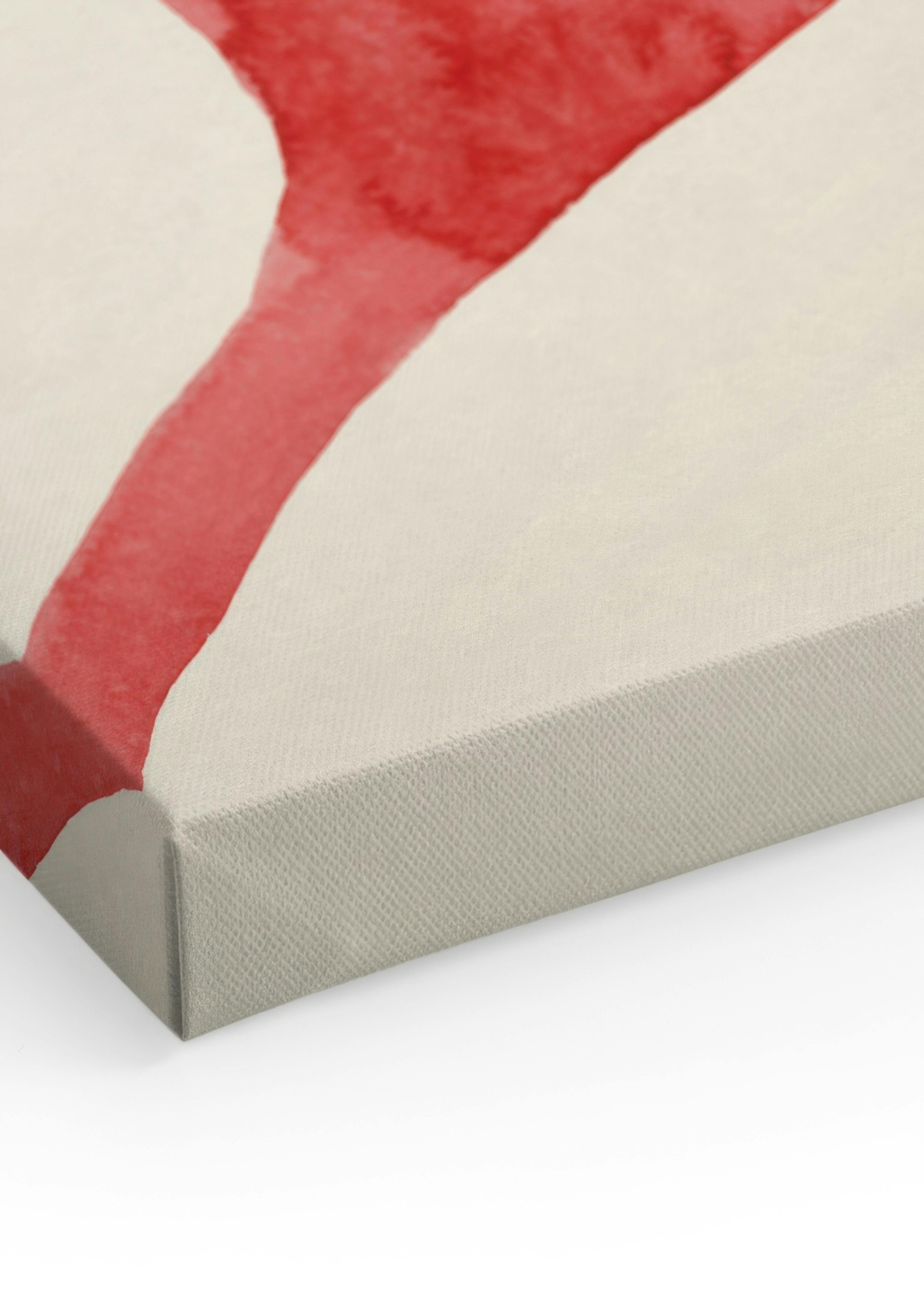 Lady in Red Canvas print