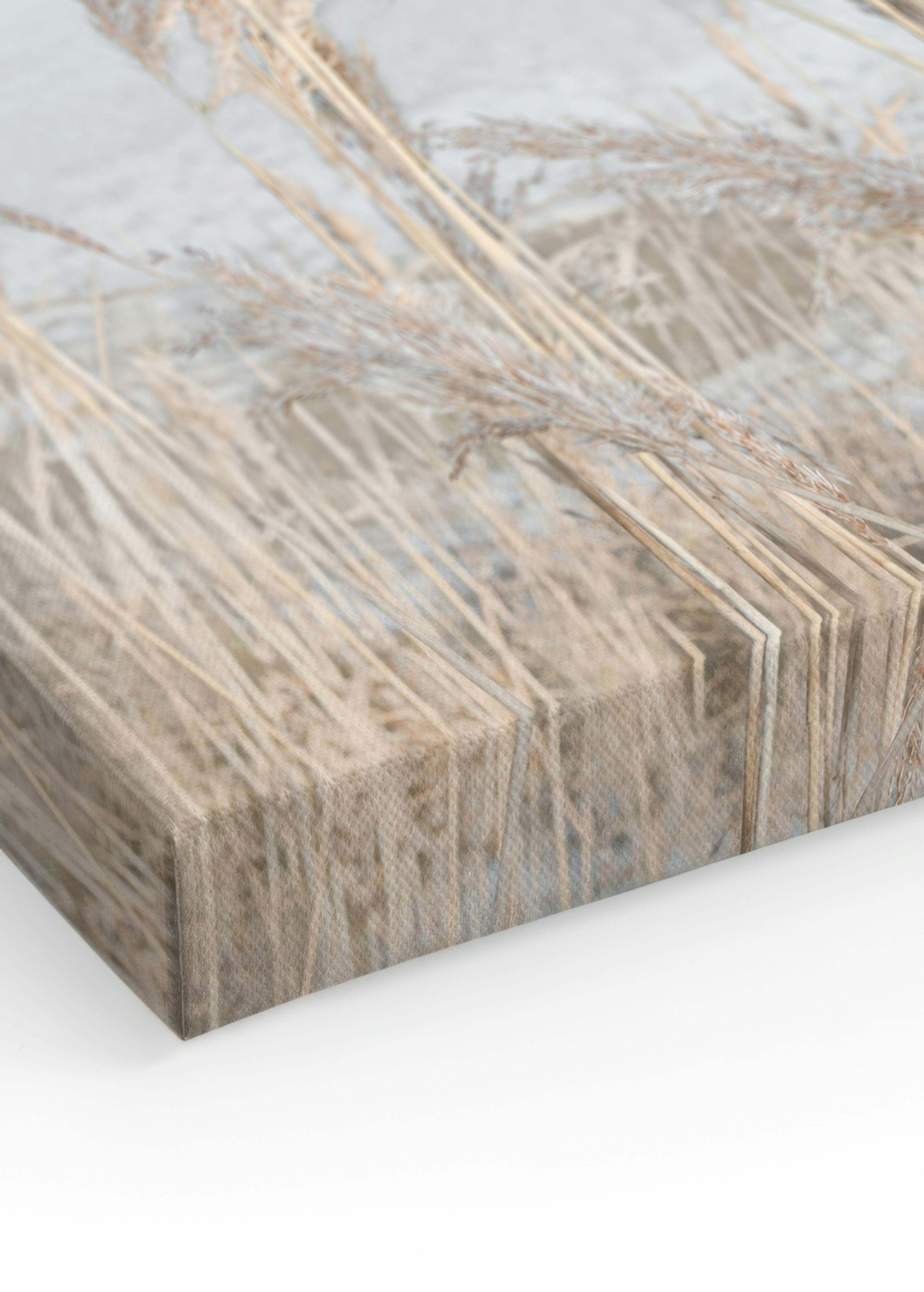 Reeds by the Sea Canvas