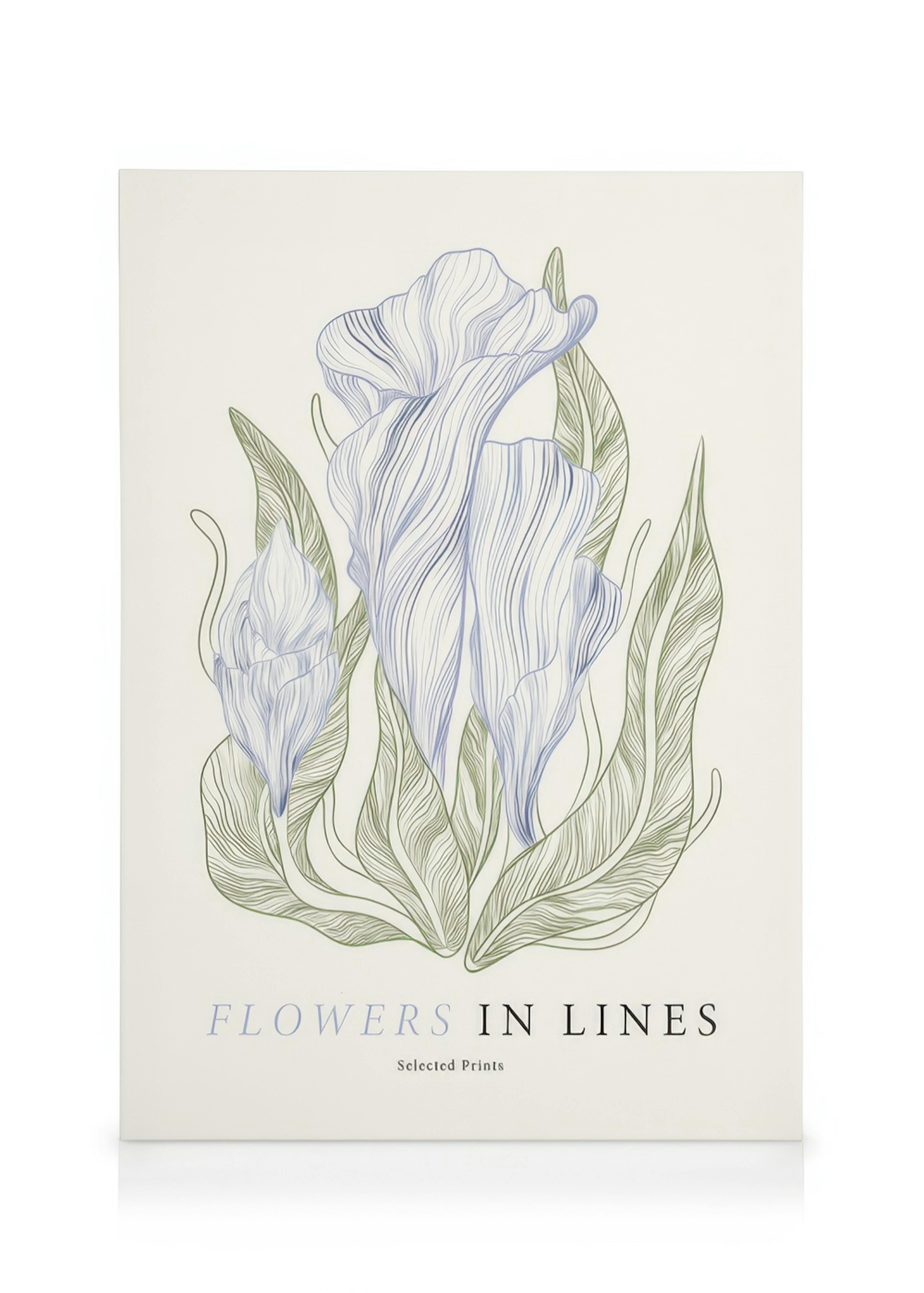 Flowers in Lines No1 Toile 0