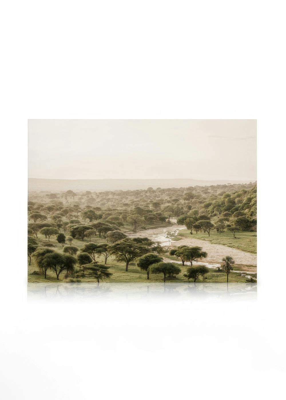 Canvas Schilderijen African Wilderness Canvas (70x100 cm - Fotolijst Eiken)