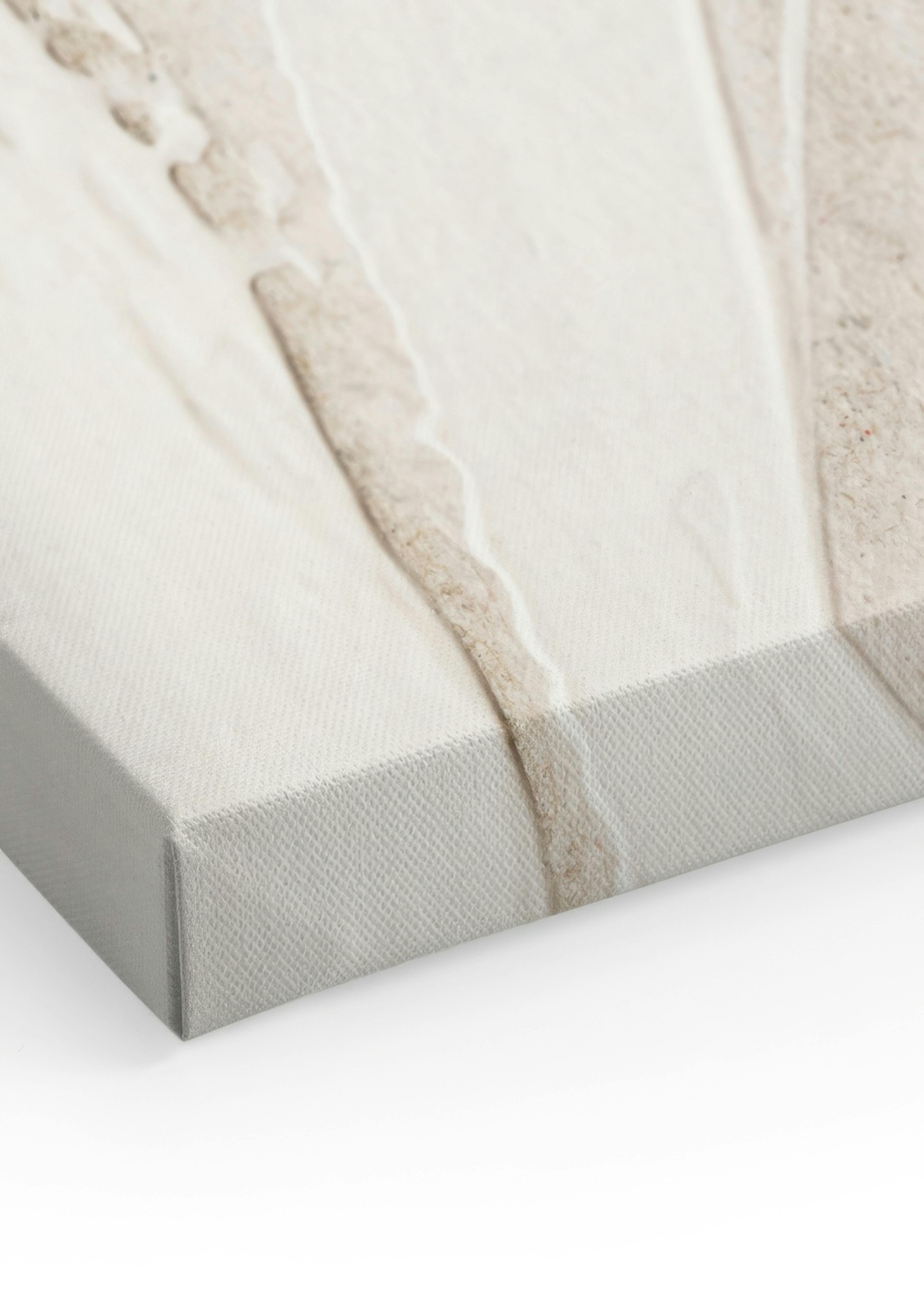 Close Up Texture Tela