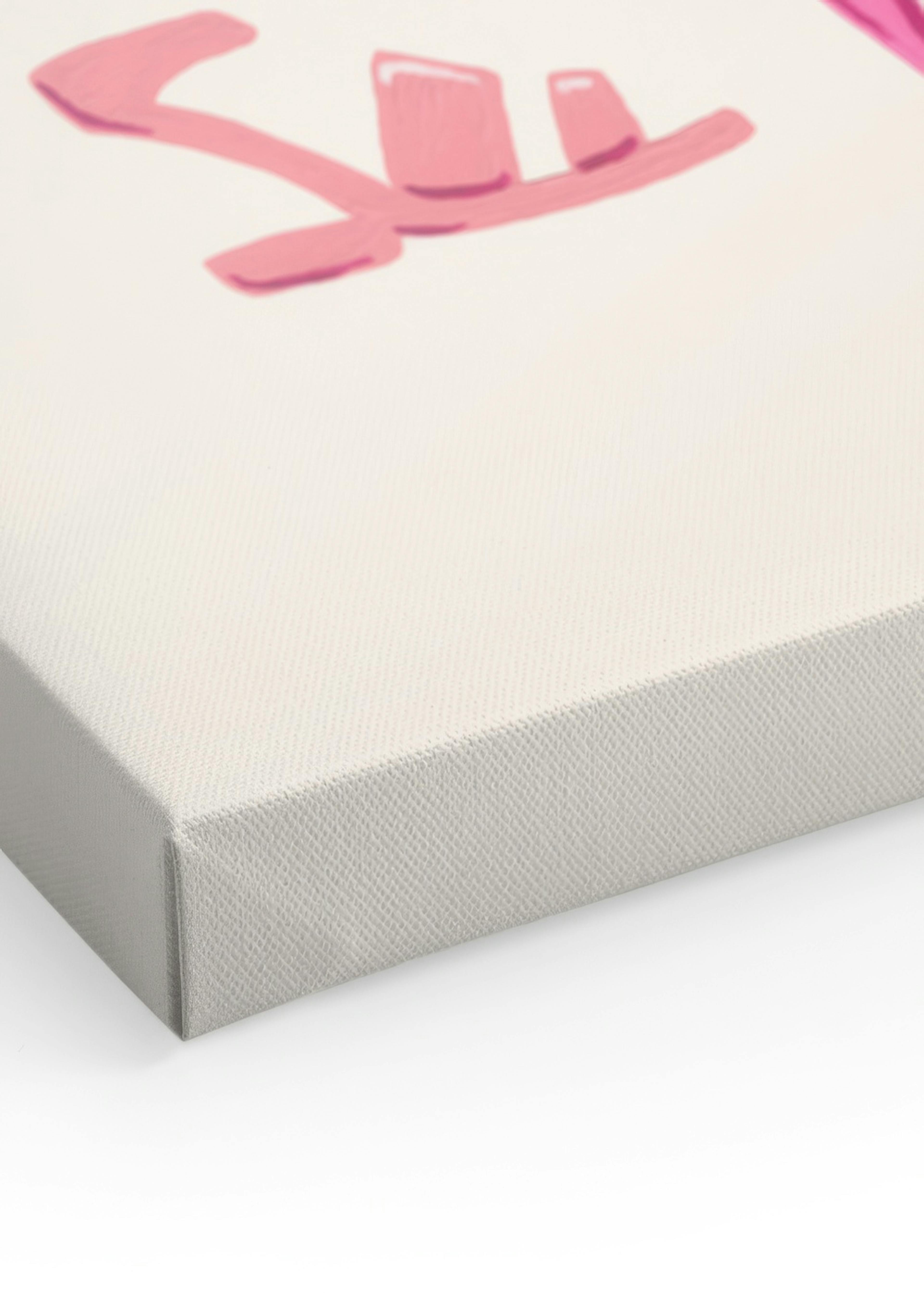 Pink Shoe Collection Canvas print