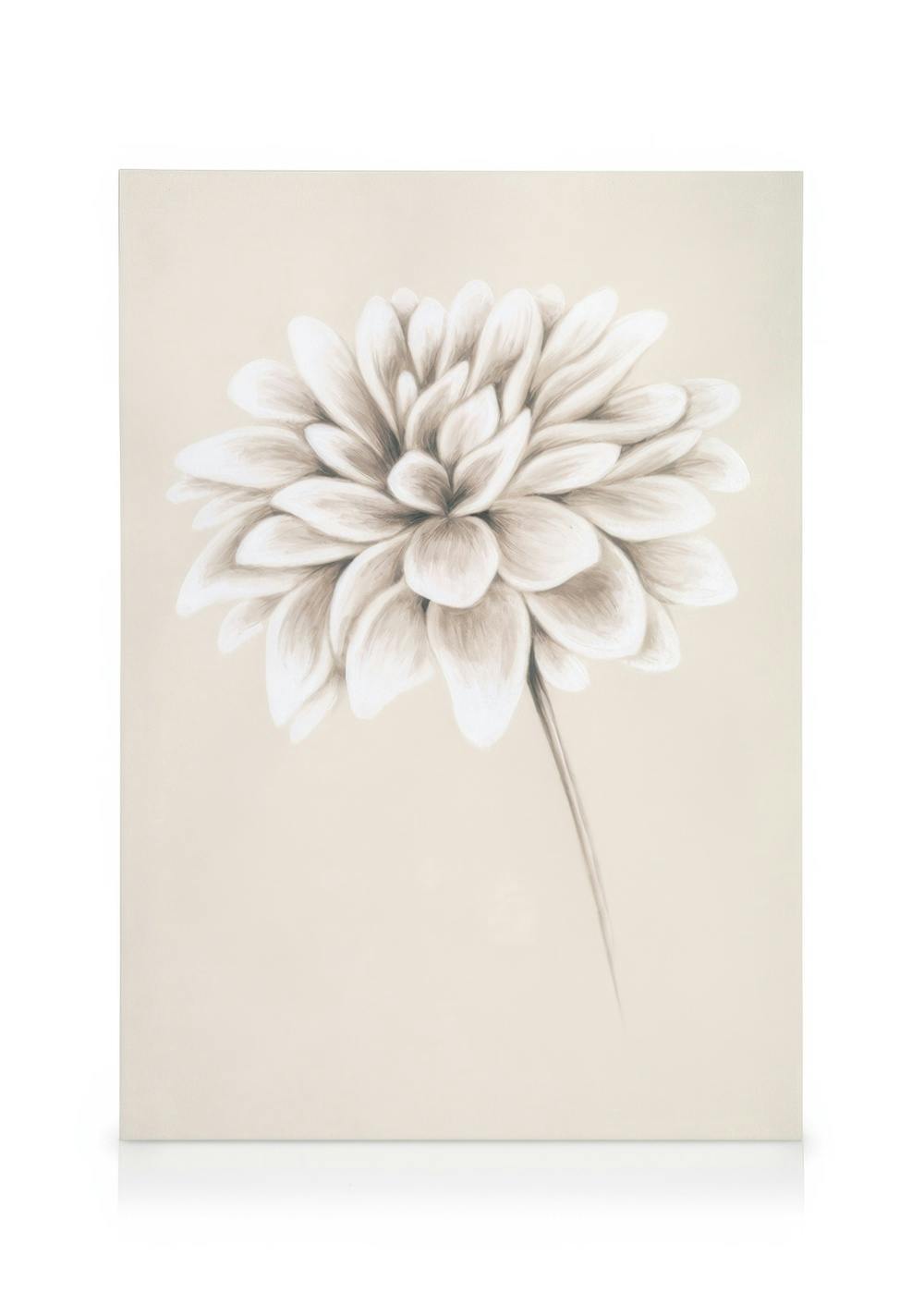 Obraz na plátne s kvetom dálie v neutrálnych odtieňoch, maľovaná botanická ilustrácia.