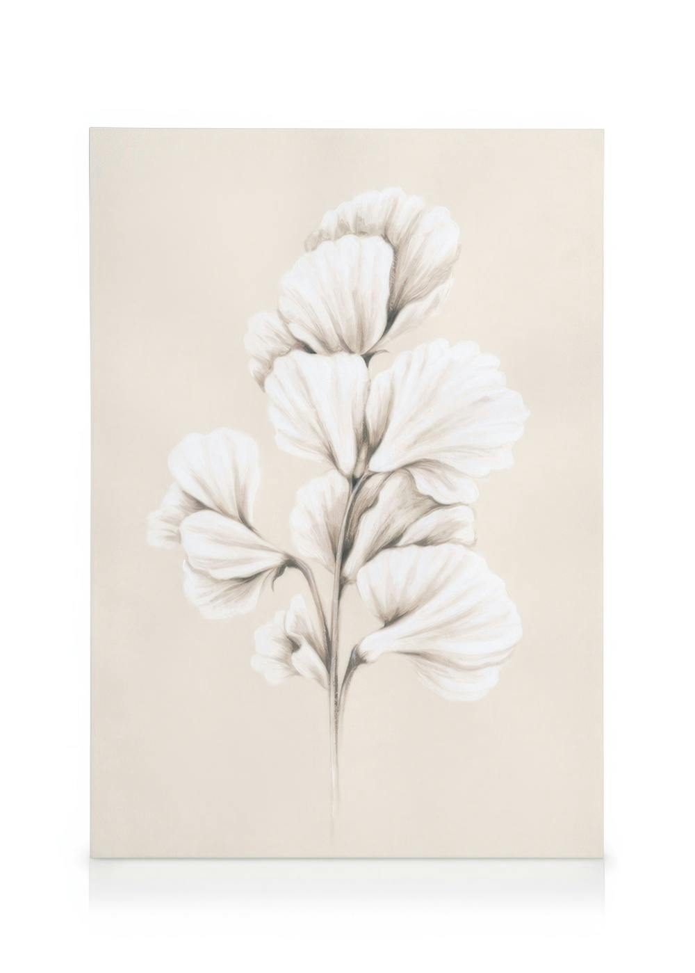 Obrazy na płótnie Painted Sweet Pea Obraz na płótnie (50x70 cm - Ramka dębowa)