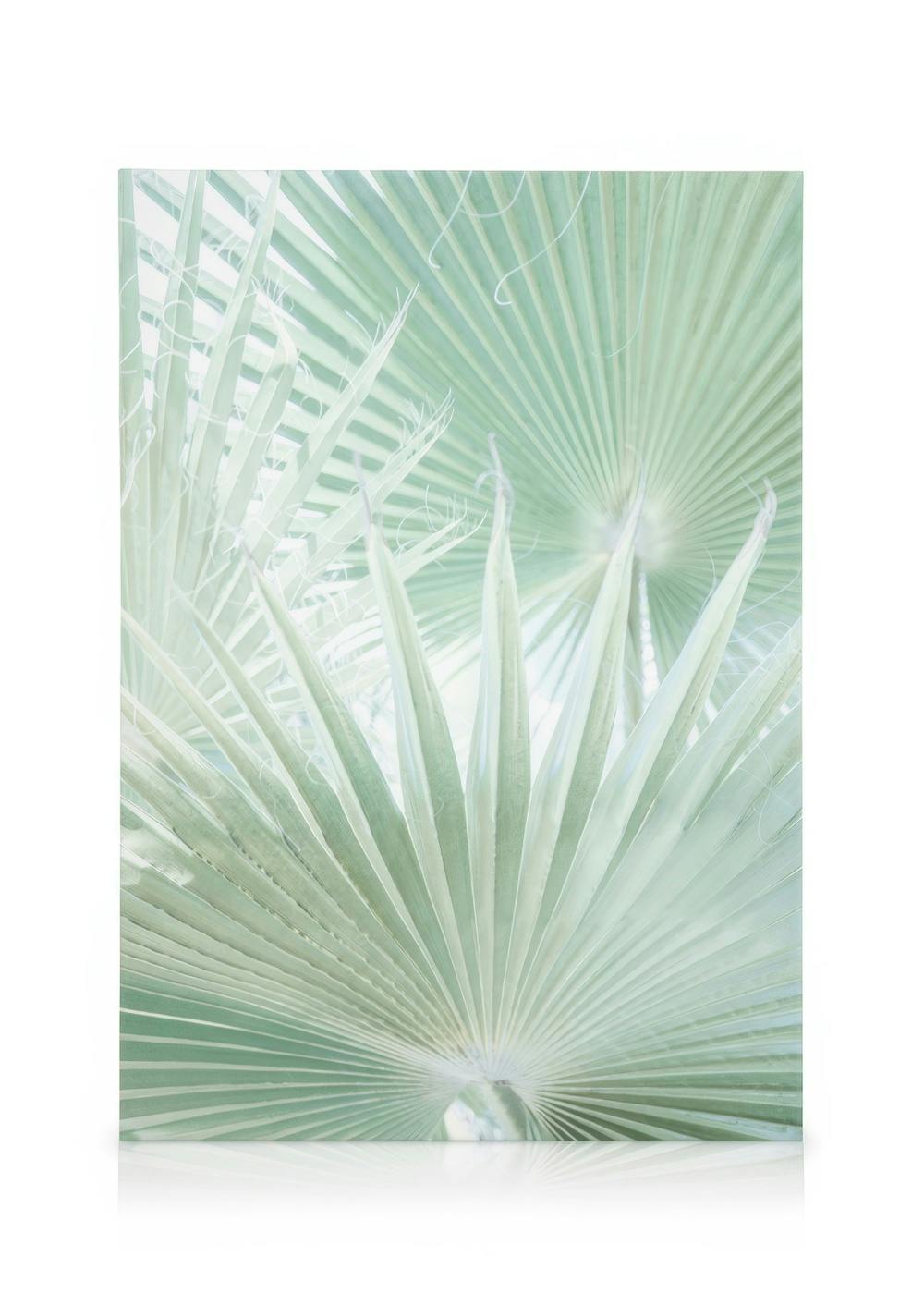 Canvas Schilderijen Light Green Leaves Canvas (30x40 cm)