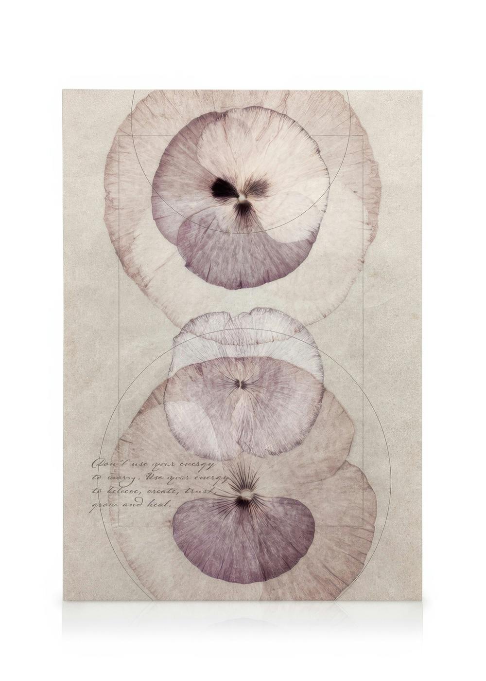 Flower Energy Toile (50x70 cm - Cadre noir) - Photographies