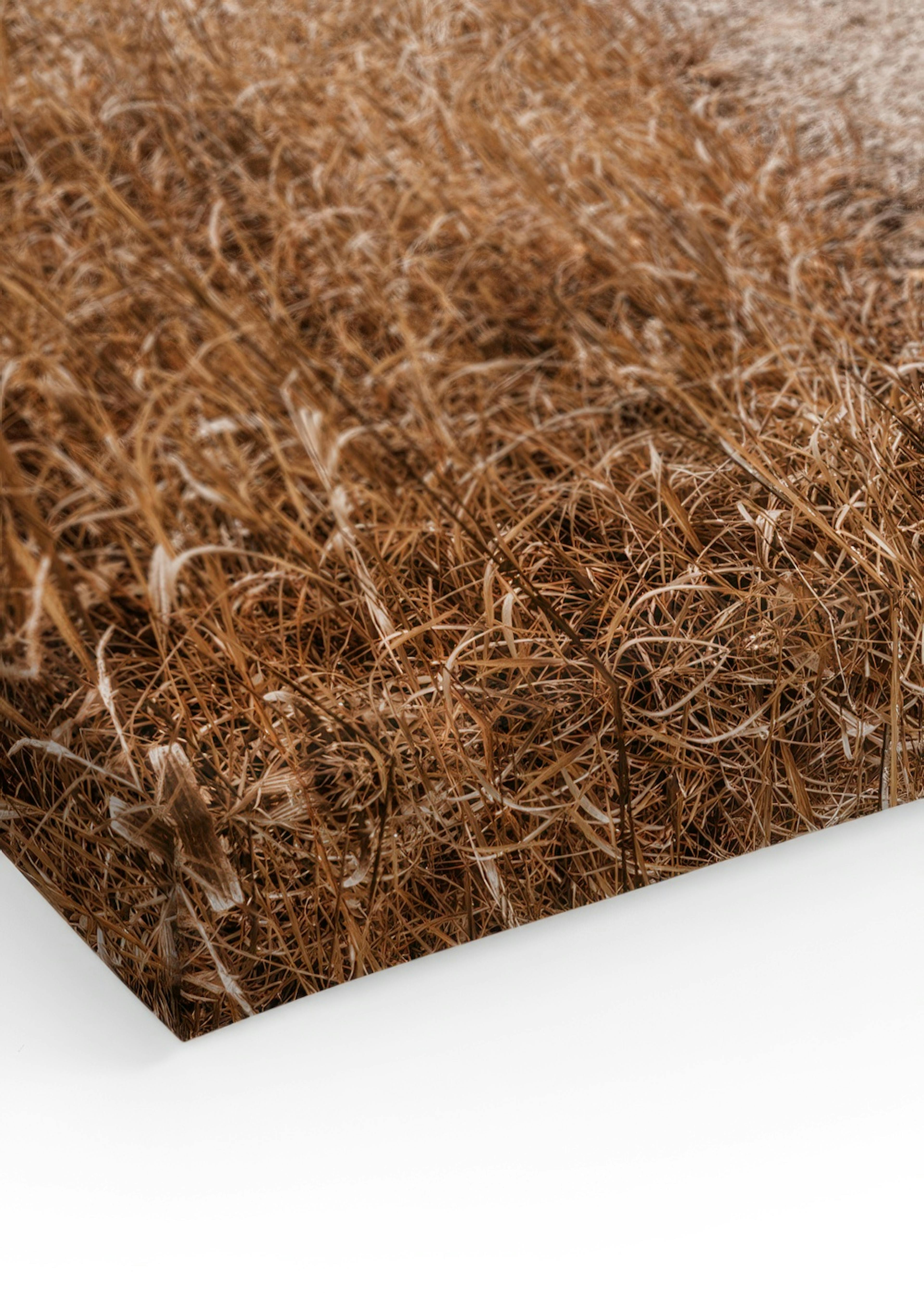 Product image: 3
