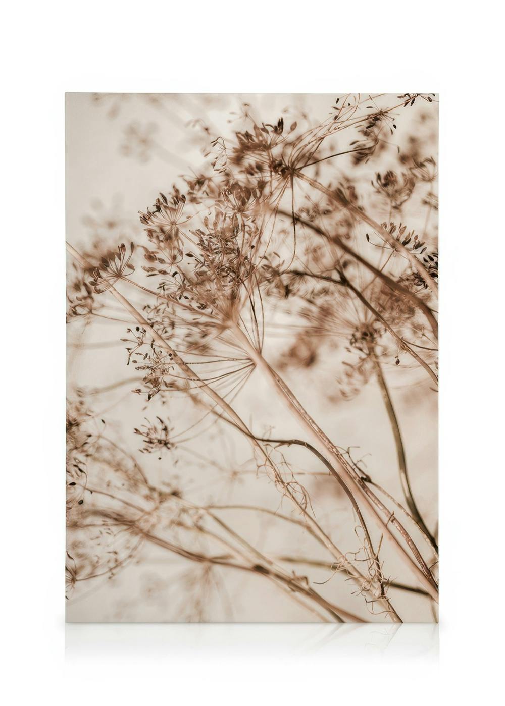 Canvas Prints Dried Flourish Canvas print (30x40 cm - Oak Frame)