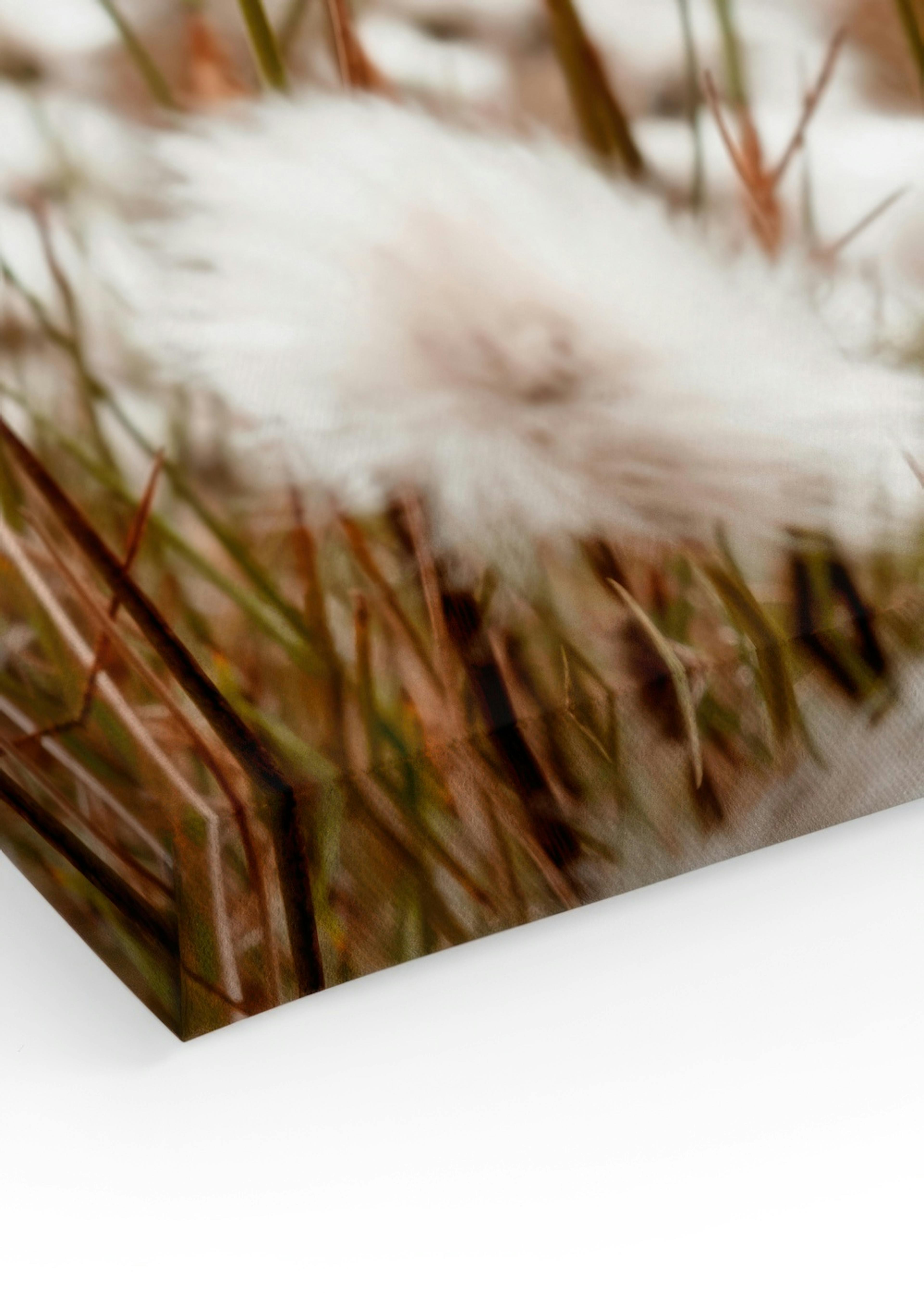 Product image: 3
