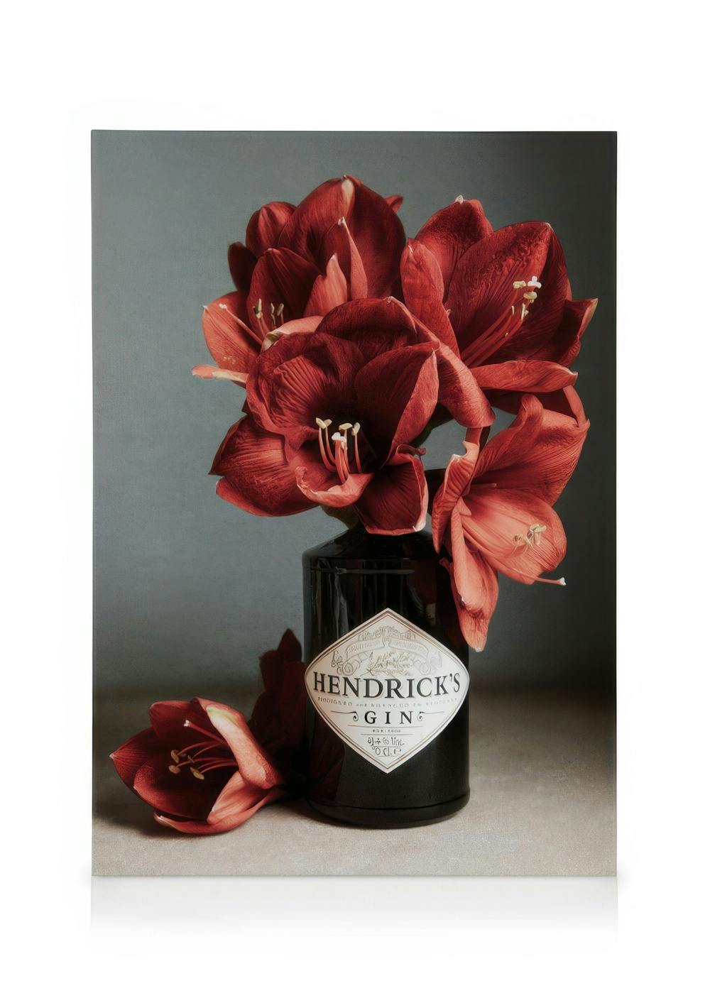 Lienzo con flores de amarilis rojas en una botella de ginebra oscura sobre un fondo gris, con pétalos sueltos.
