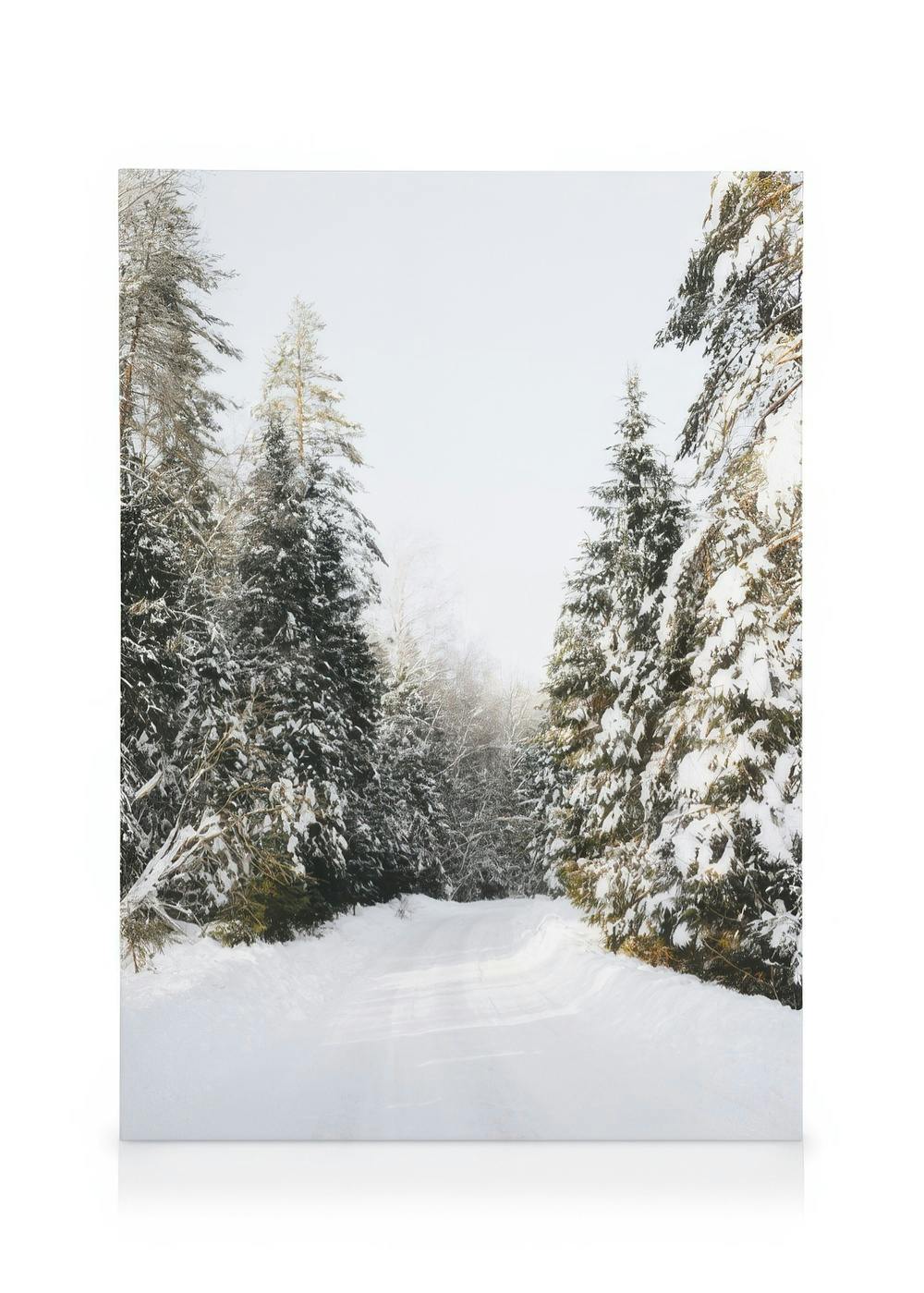 Canvas Prints Coniferous Tree Road Canvas print (30x40 cm)