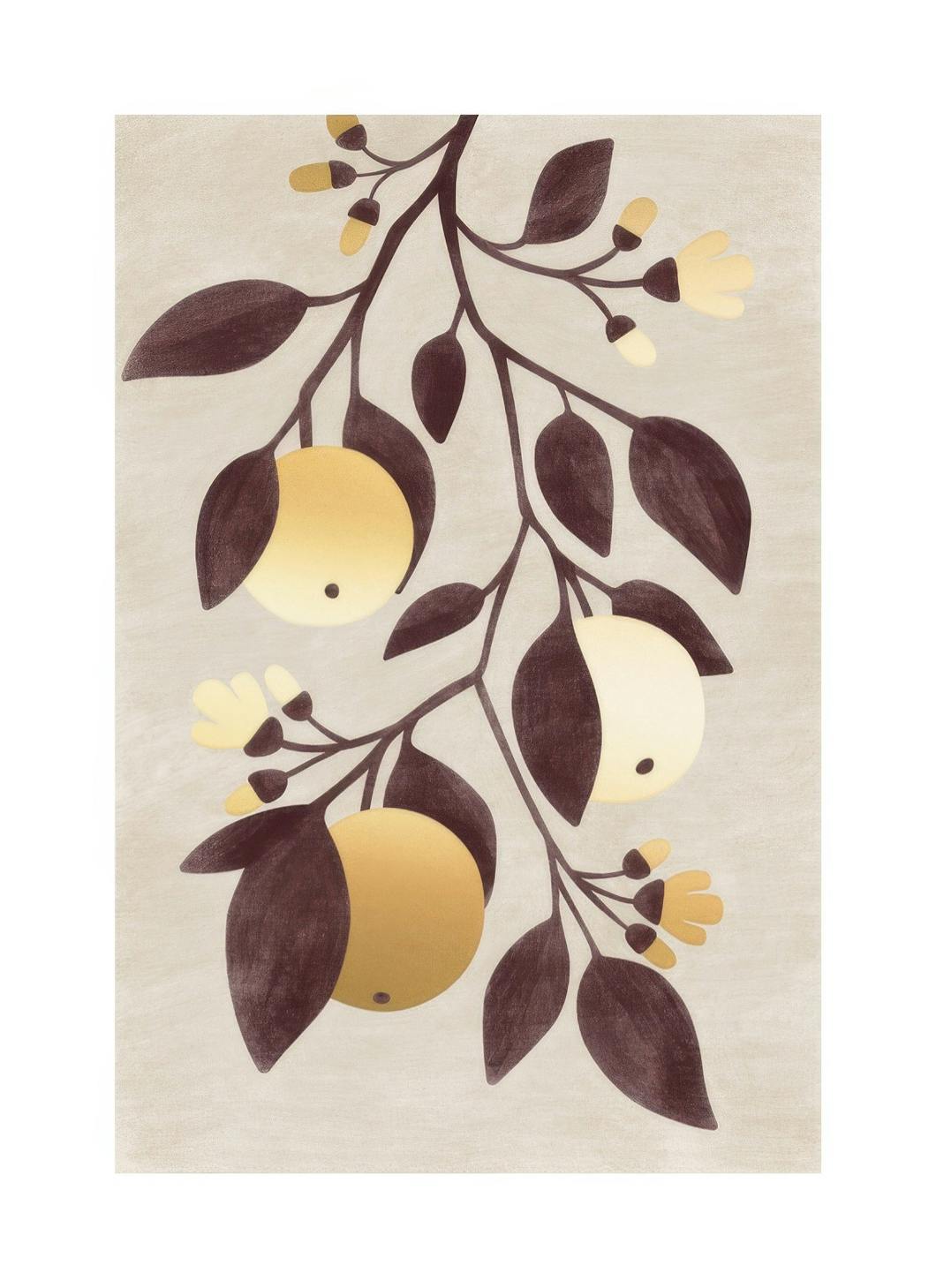 Golden Citrus No1 Plakat (30x40 cm)-Plakaty