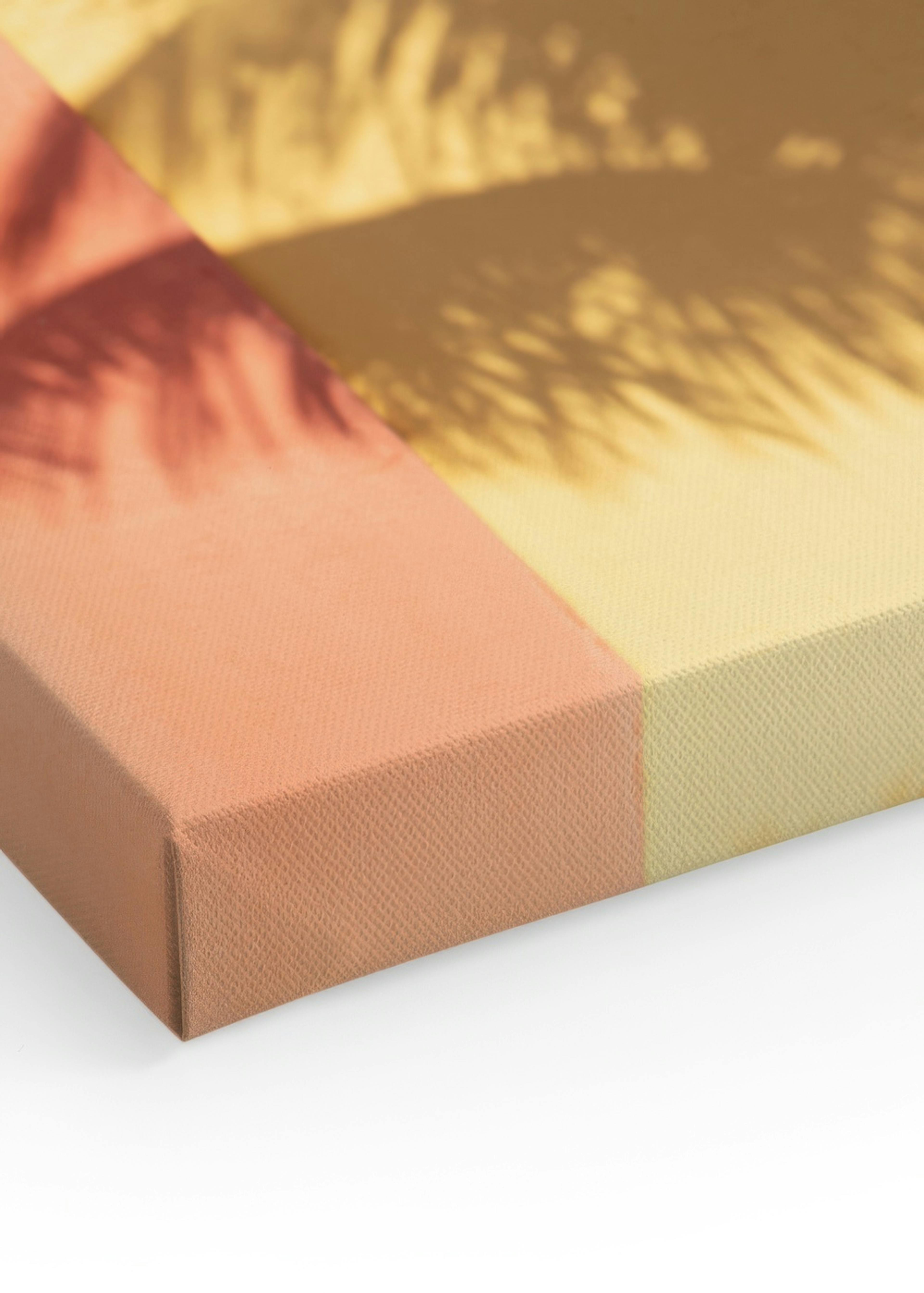 Sun-drenched Palm Canvas