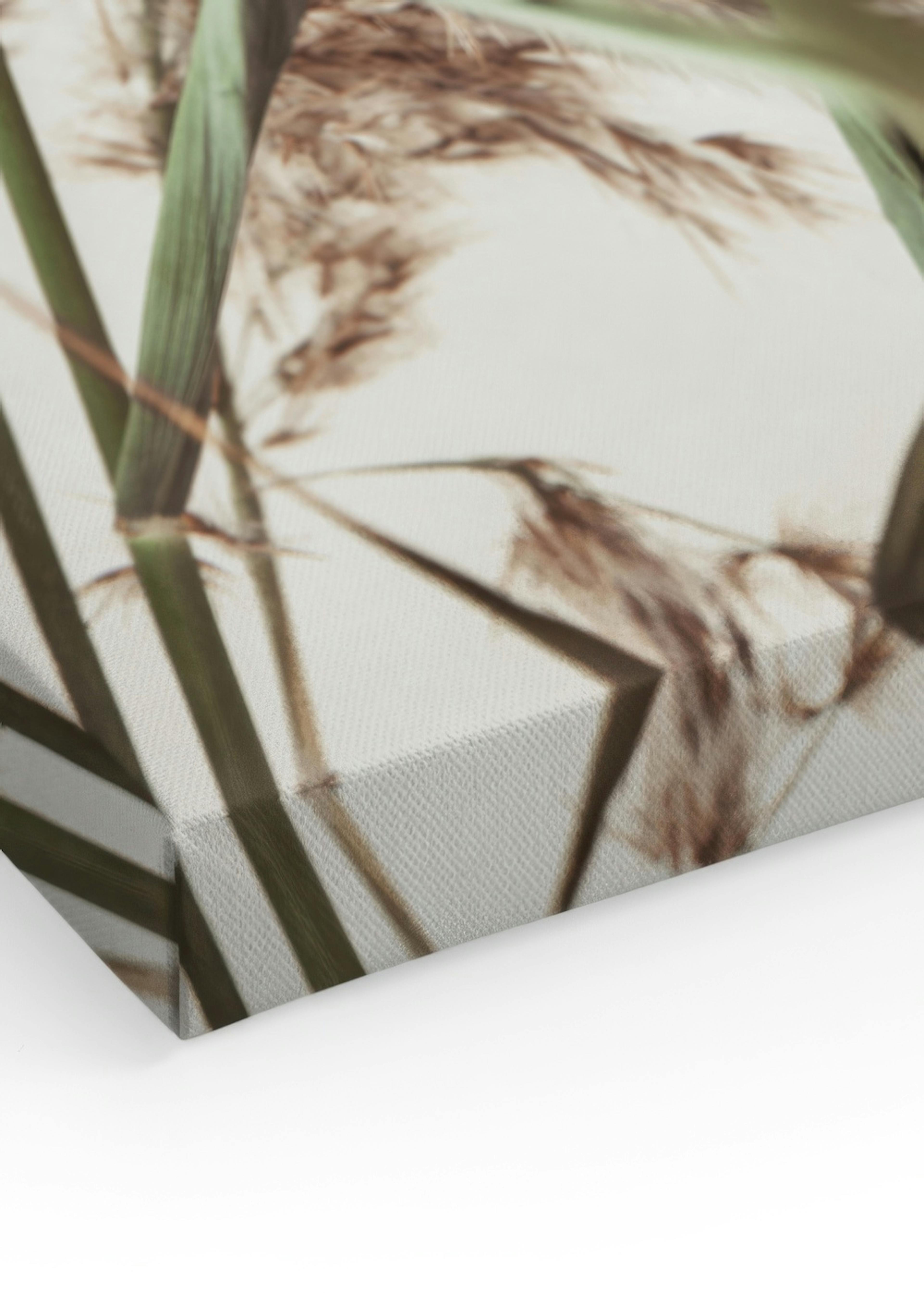 Product image: 3