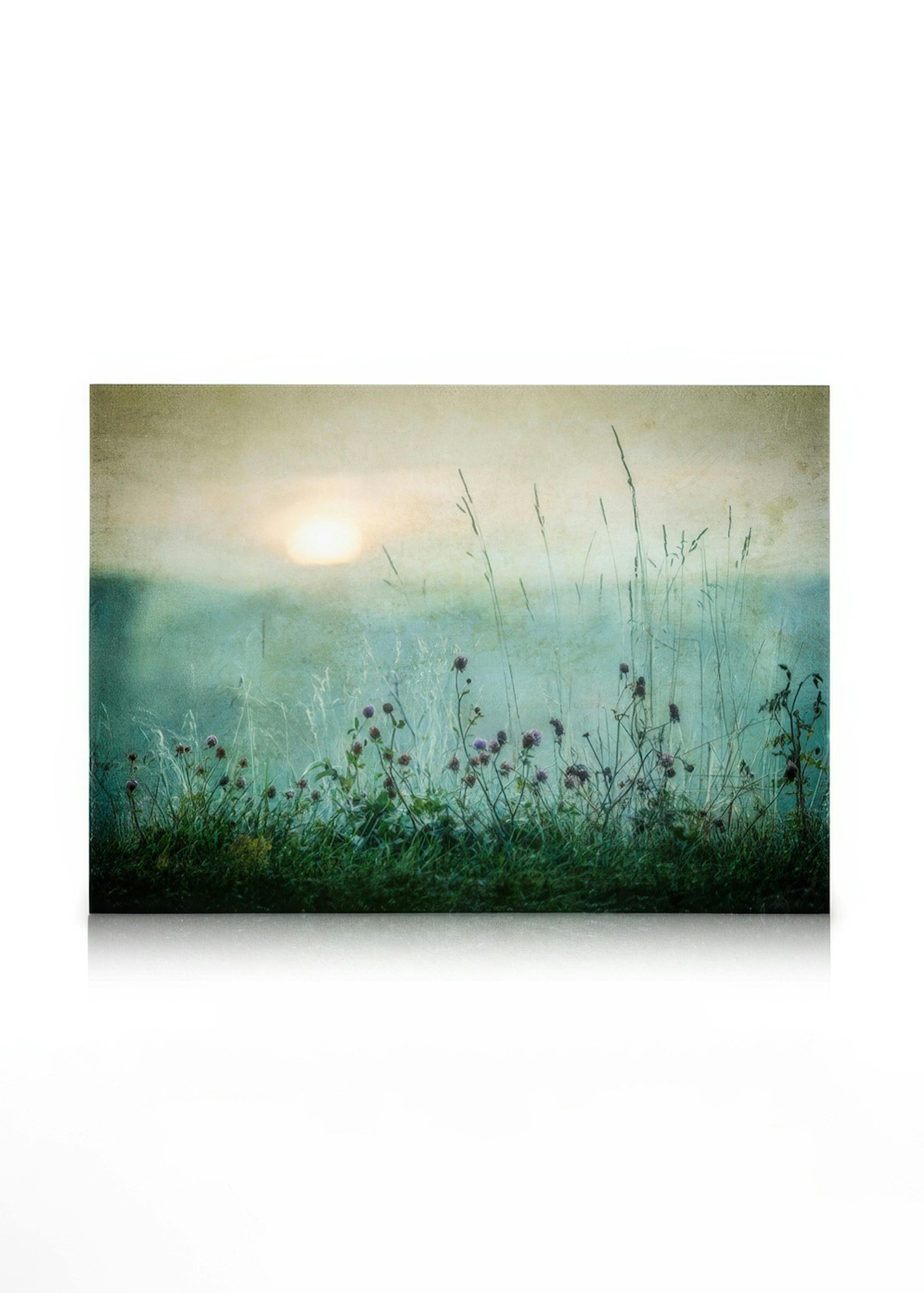 Meadow In Dawn Lerret 0