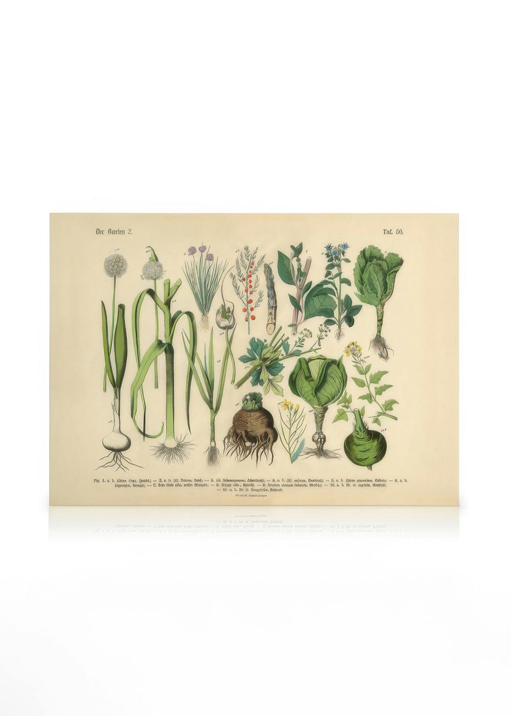 Canvas Prints Victorian Garden No2 Canvas print (30x40 cm - Oak Frame)