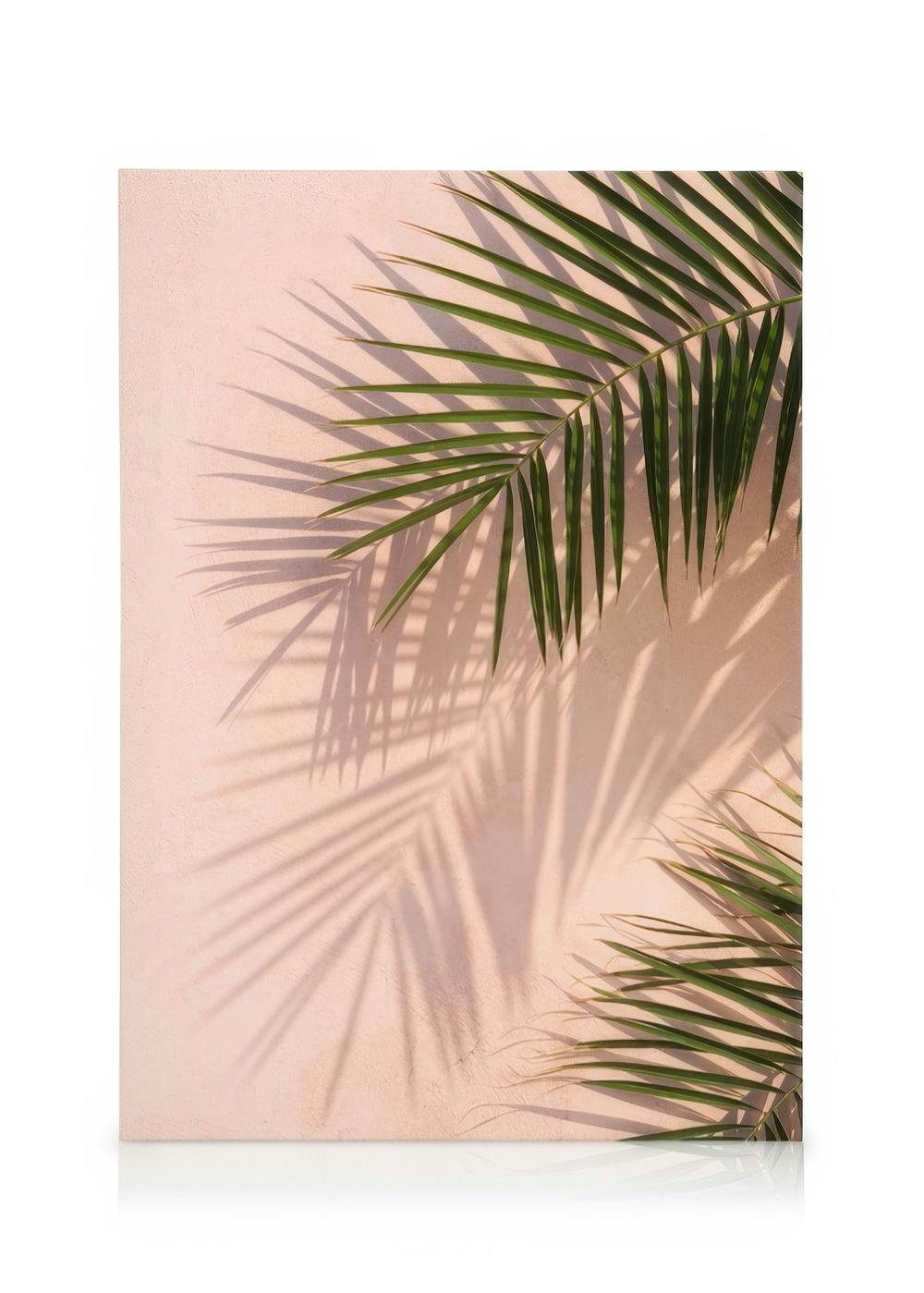 Canvas Prints Pink Palm Canvas print (30x40 cm - Oak Frame)