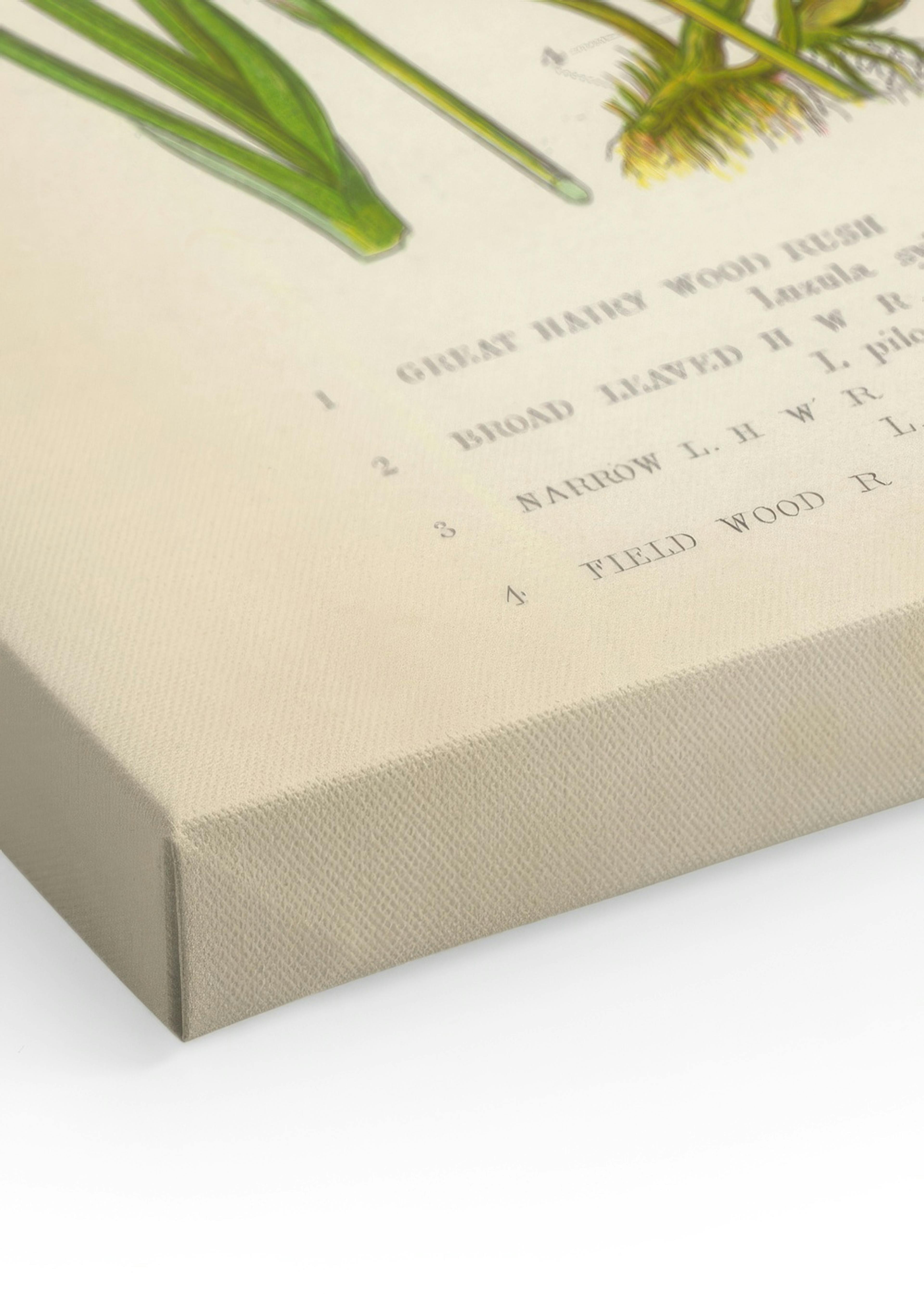 Product image: 3