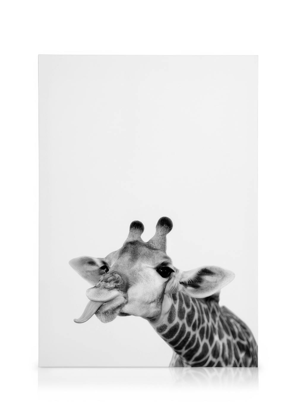 Schwarz-Weiß-Leinwand mit dem Kopf einer Giraffe, die die Zunge herausstreckt. Tierkunst für Kinderzimmer.