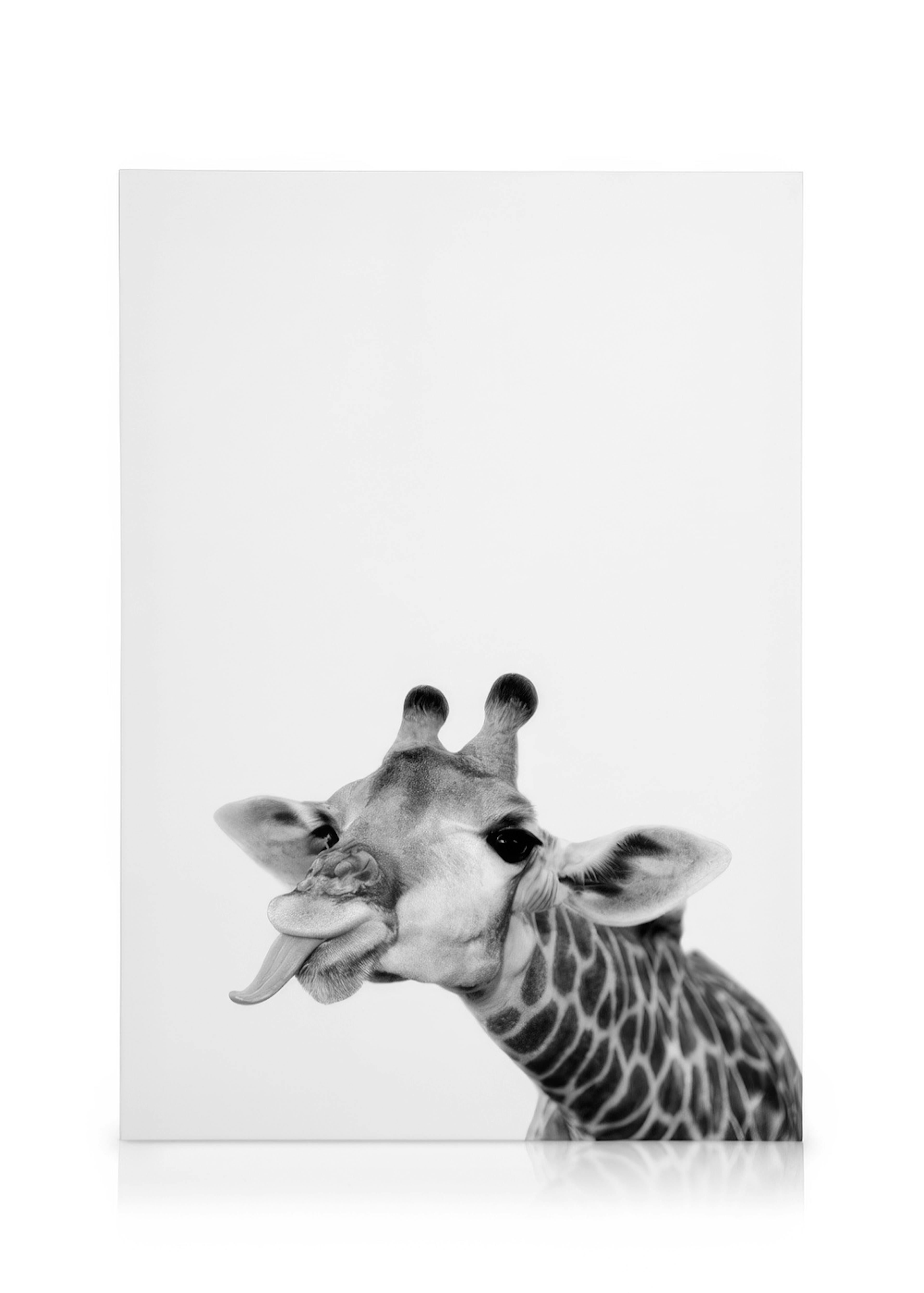 Goofy Giraffe Toile 0