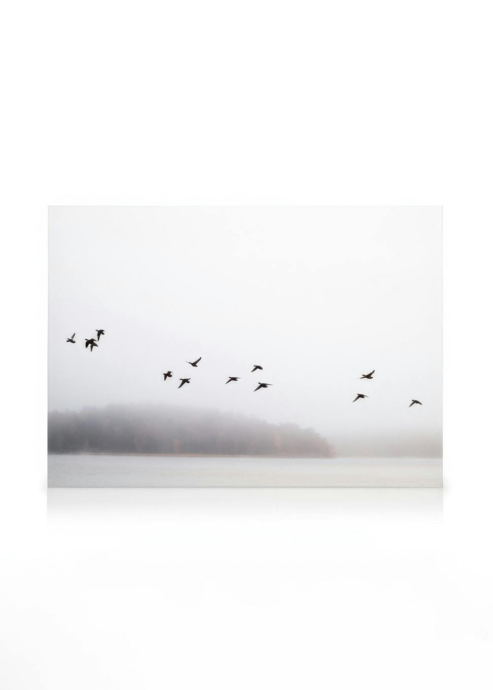 Birds Over Lake Stampa su Tela 0