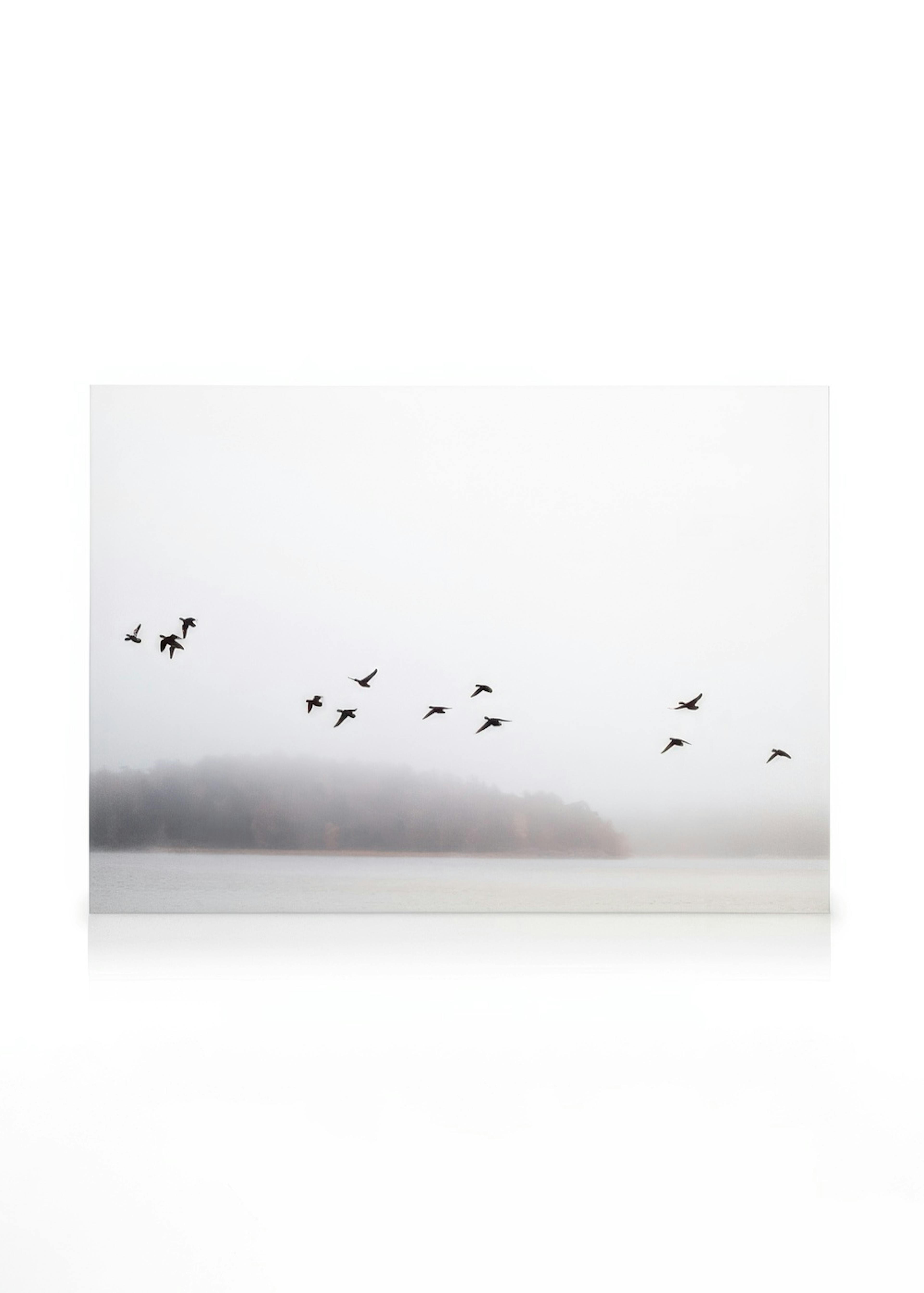 Birds Over Lake Lienzo 0