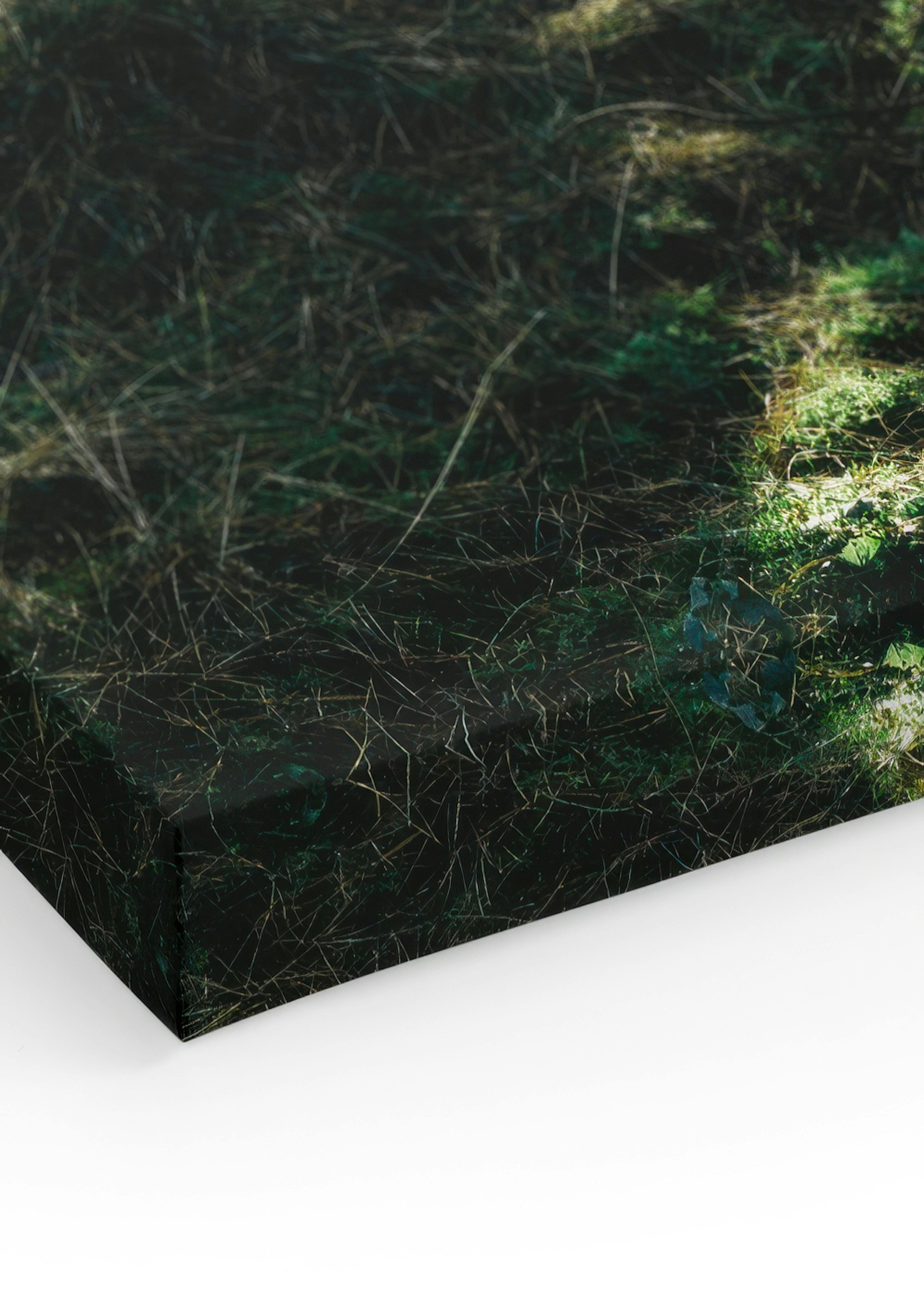 Product image: 3