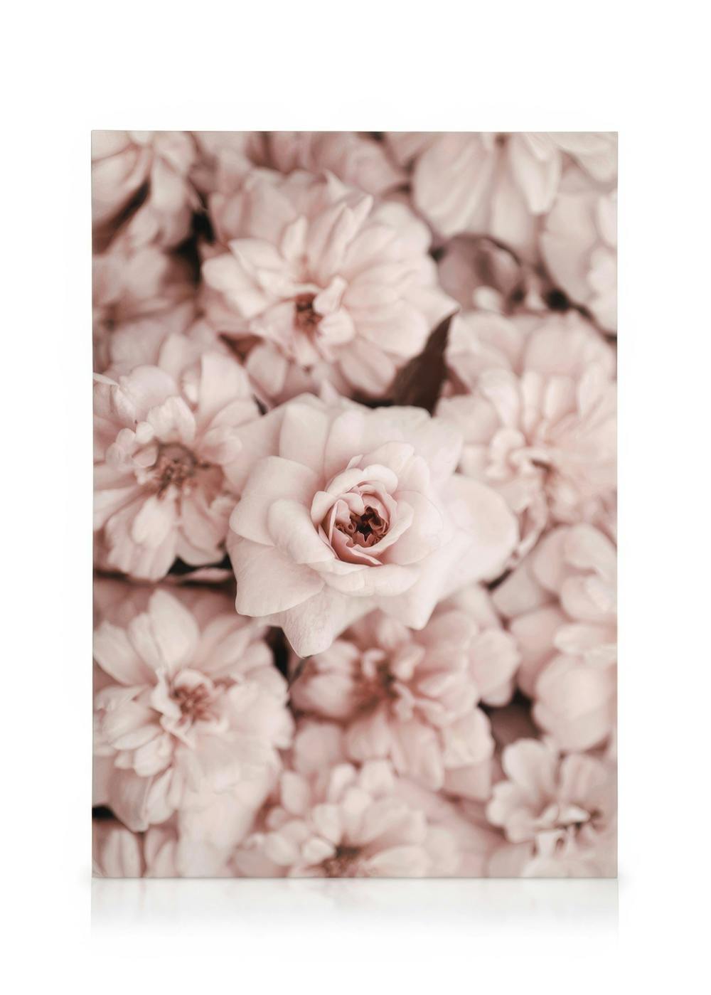 Canvas Prints Bed Of Flowers Canvas print (30x40 cm - Black Frame)