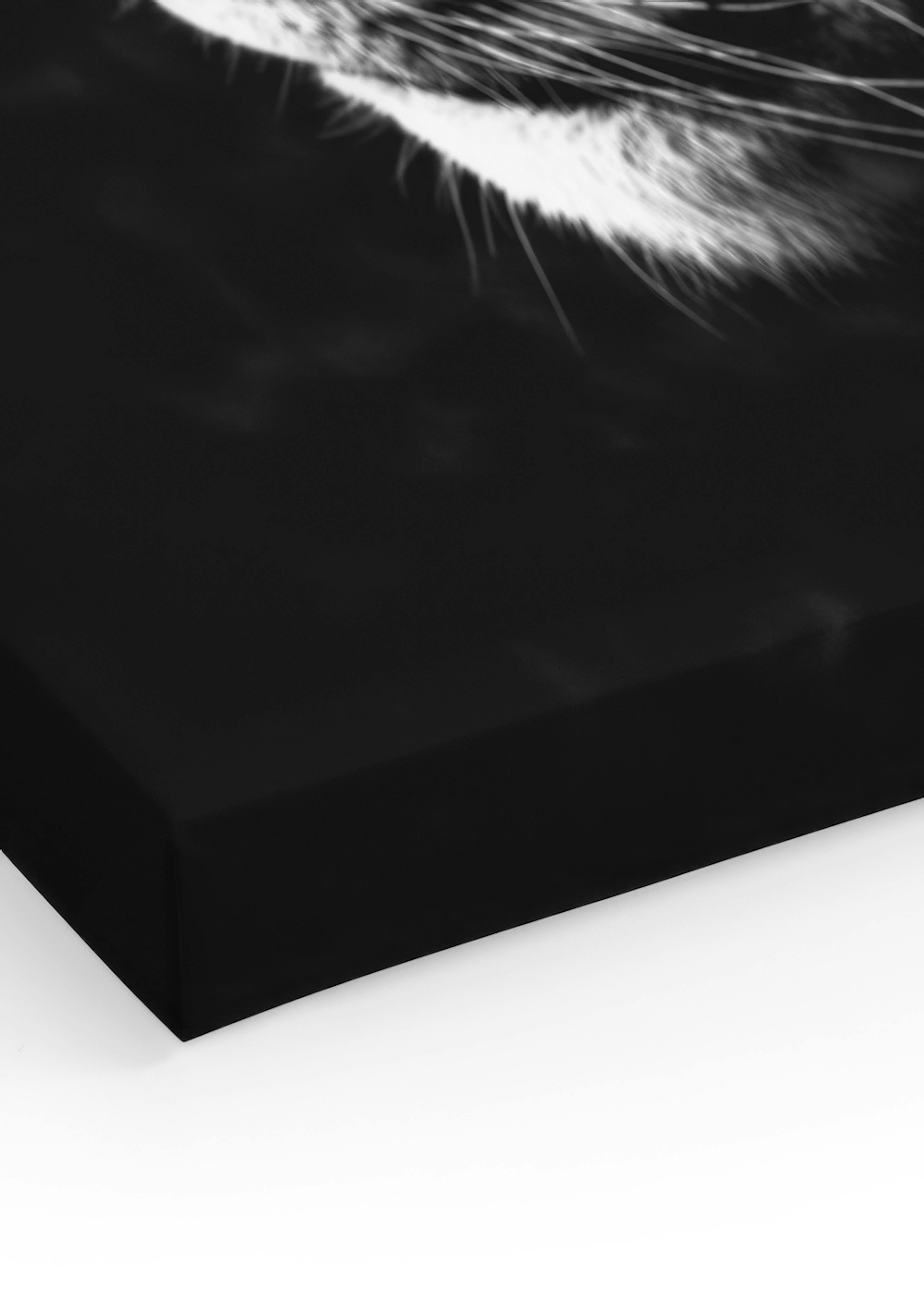 Product image: 3