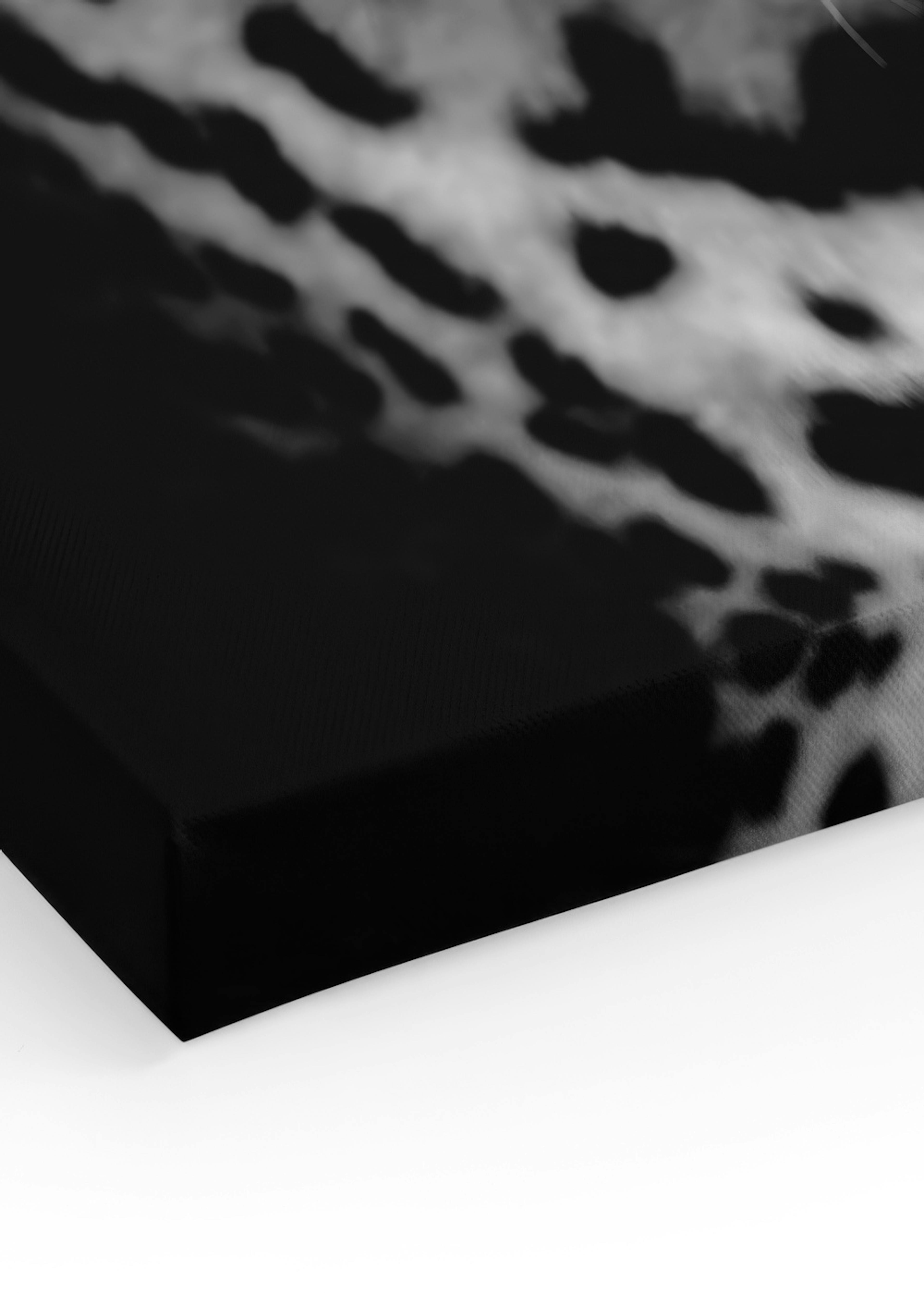 Leopard B&W Leinwandbild