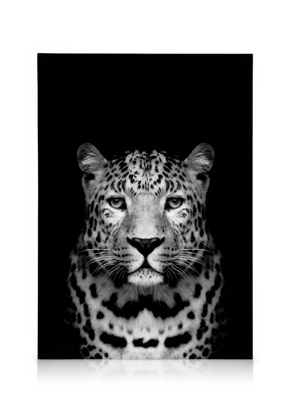 Canvas Prints Leopard B&W Canvas print (50x70 cm - Black Frame)